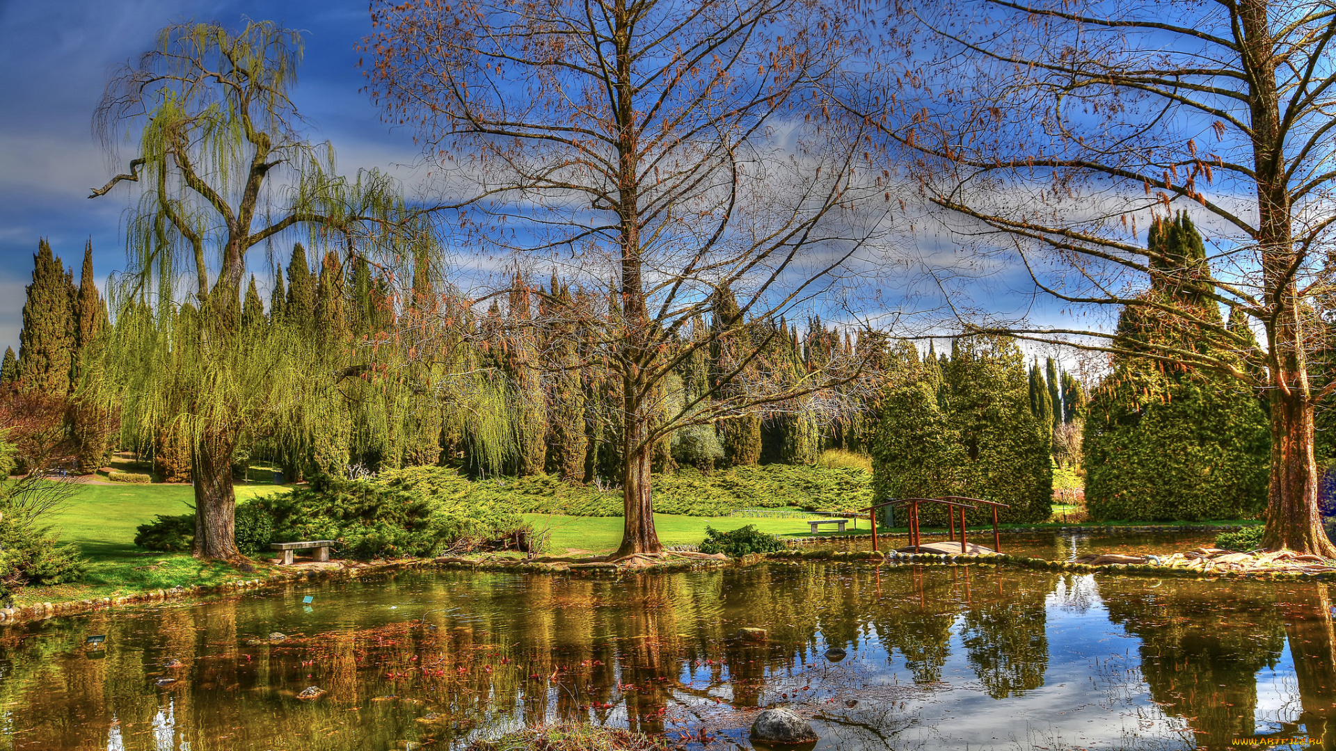 природа, реки, озера, лес, река