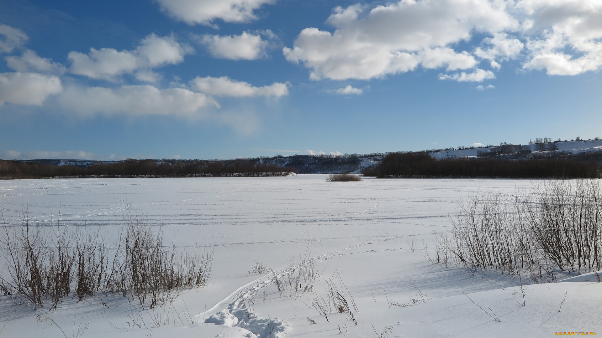 природа, зима, снег