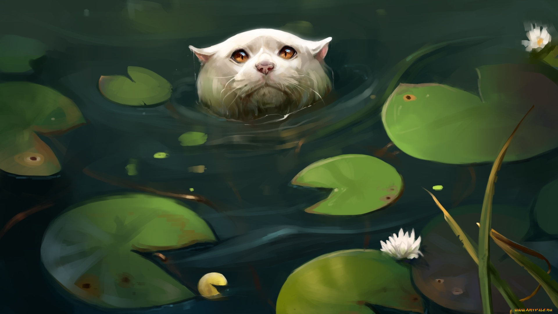 рисованное, животные, , коты, кувшинки, кошка