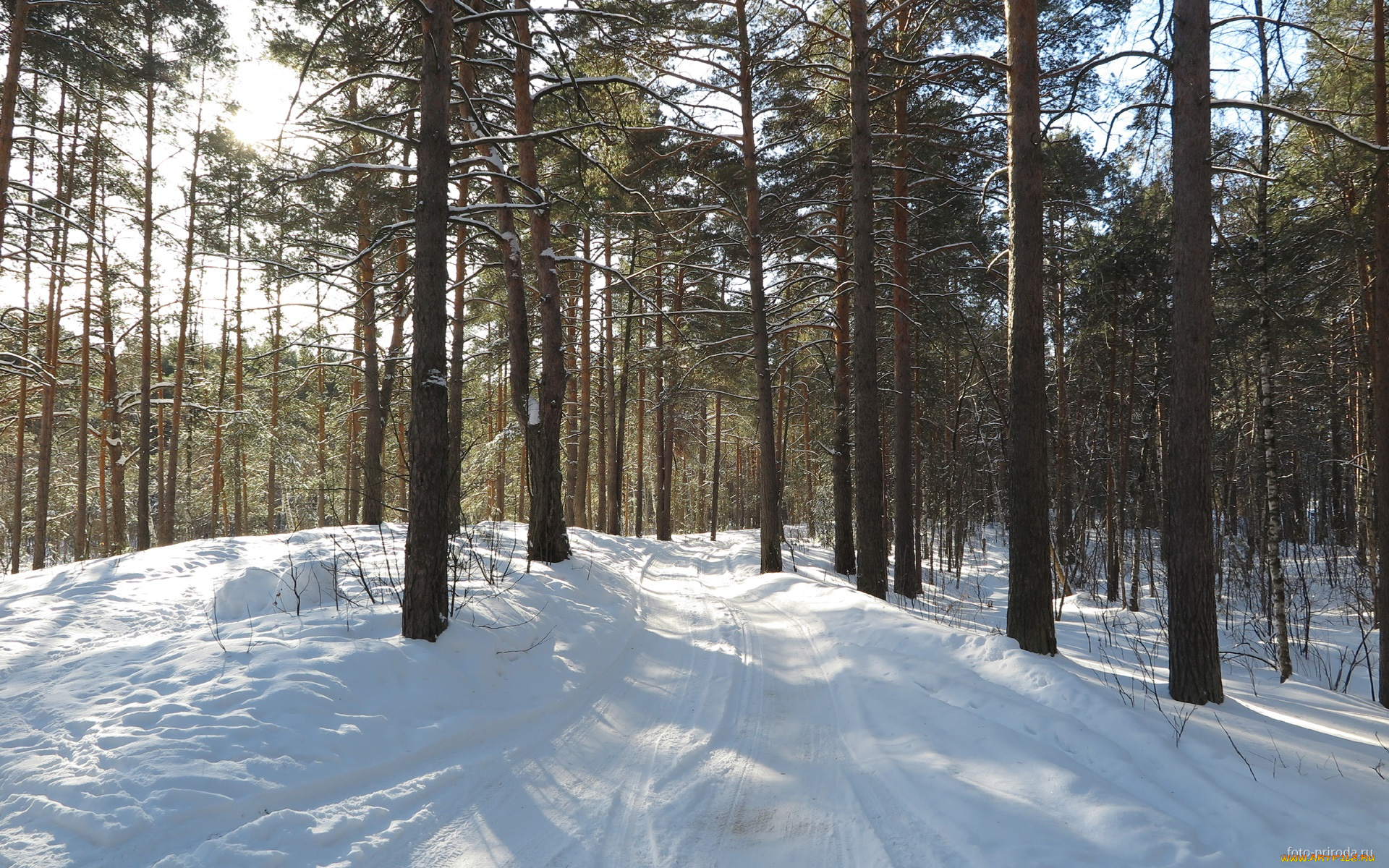 природа, дороги, снег, деревья