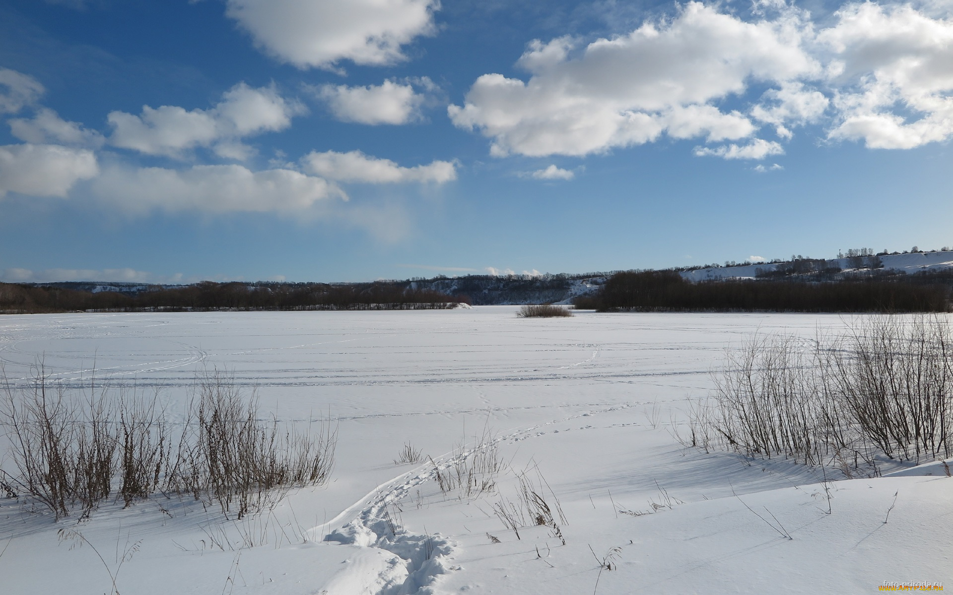 природа, зима, снег