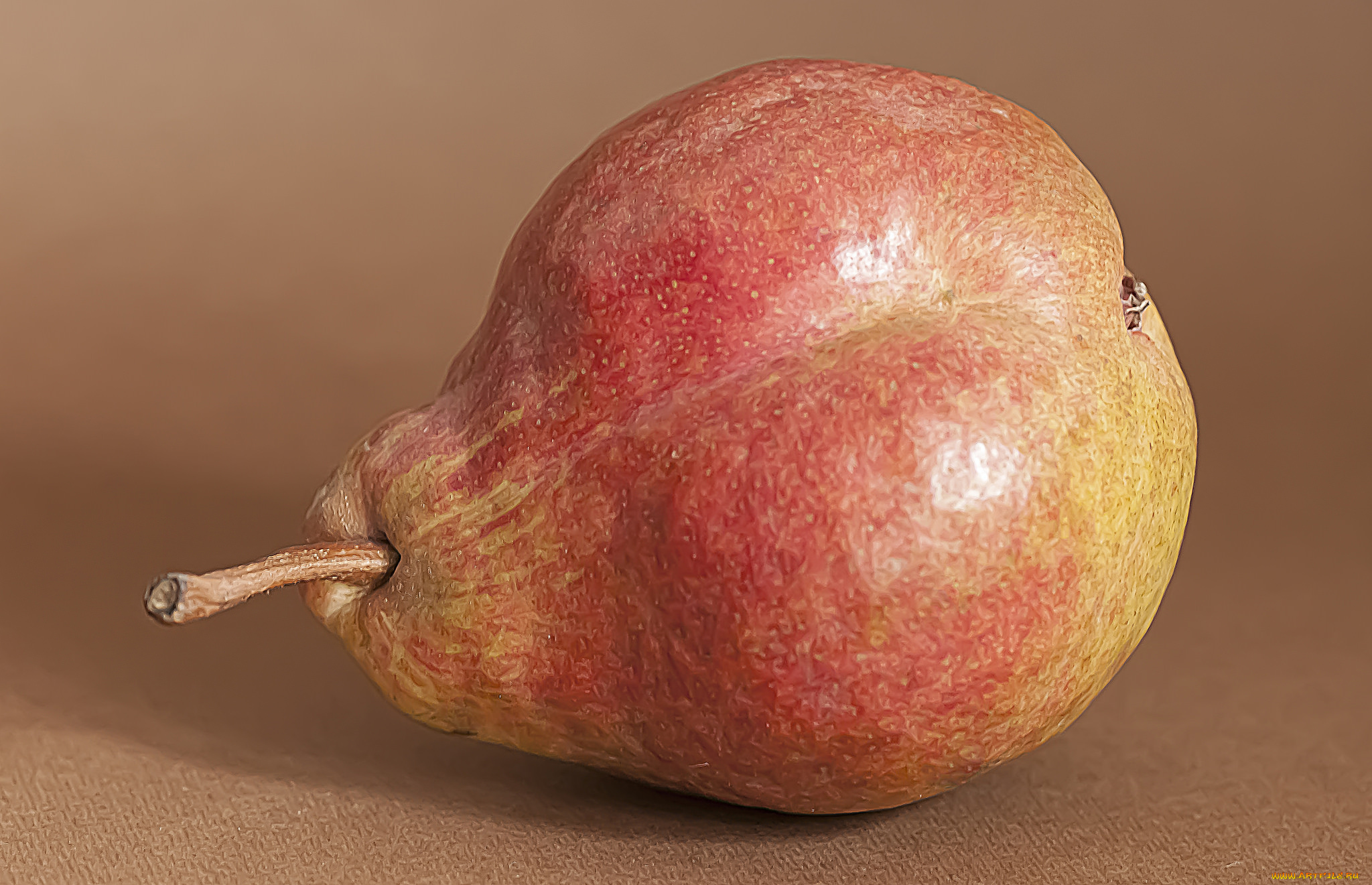 еда, груши, плоды