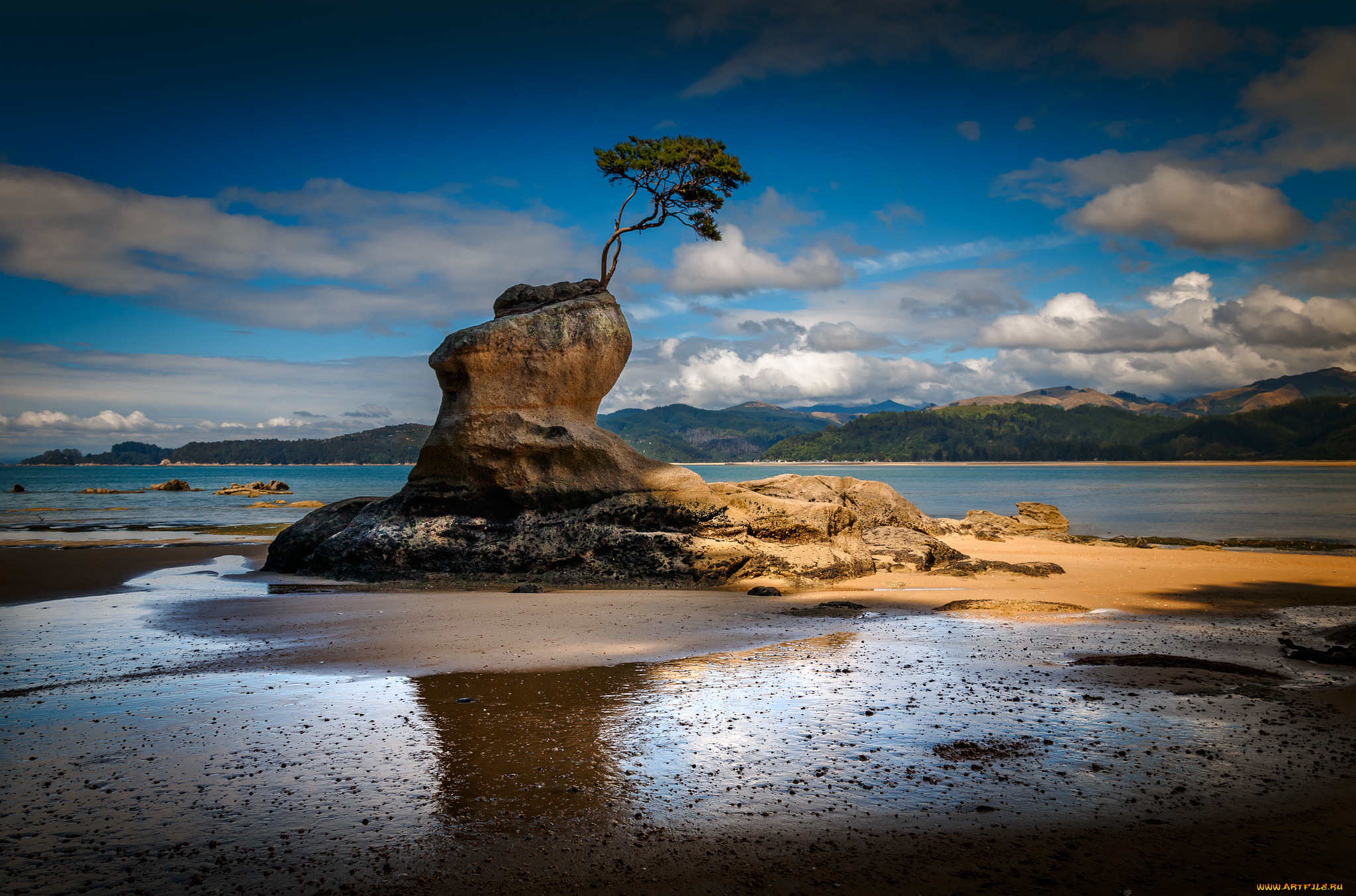 природа, побережье, море, берег