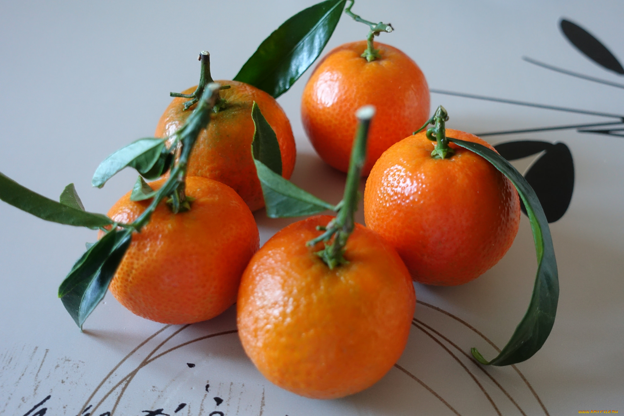 еда, цитрусы, плоды