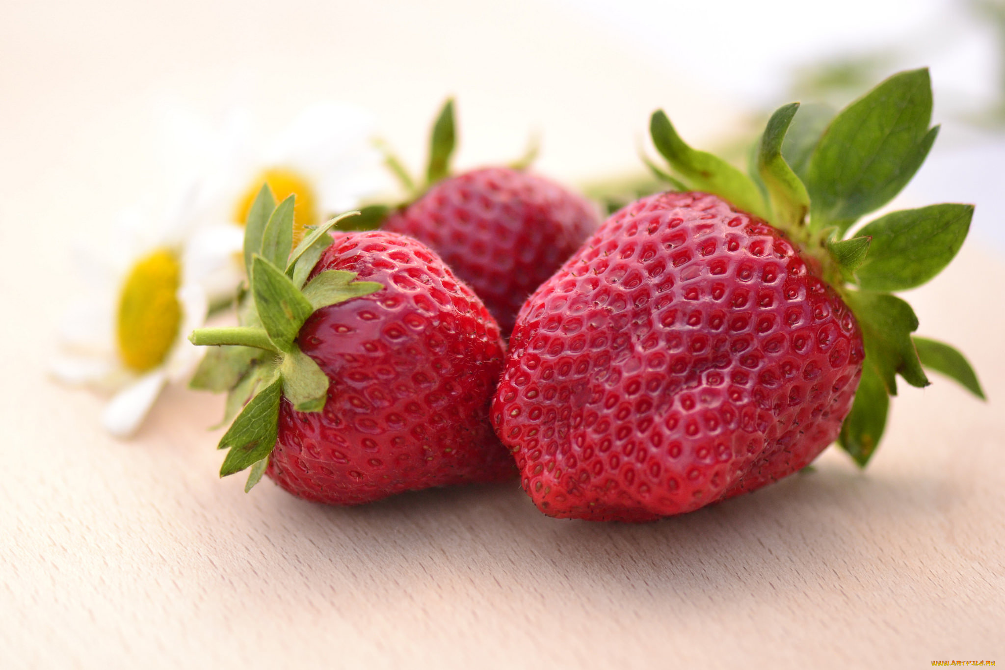 еда, клубника, , земляника, ягоды