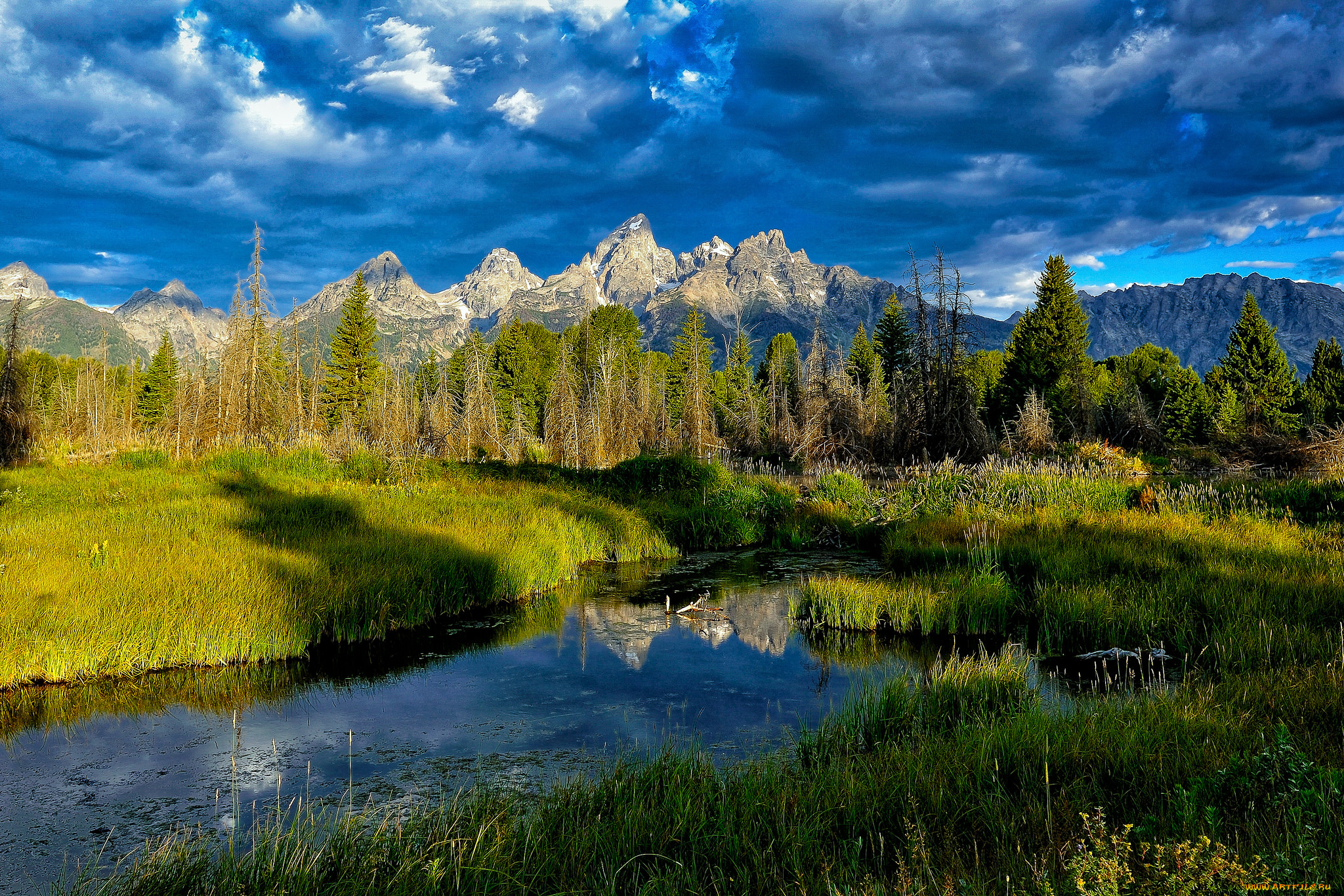 природа, реки, озера, река, лес, горы