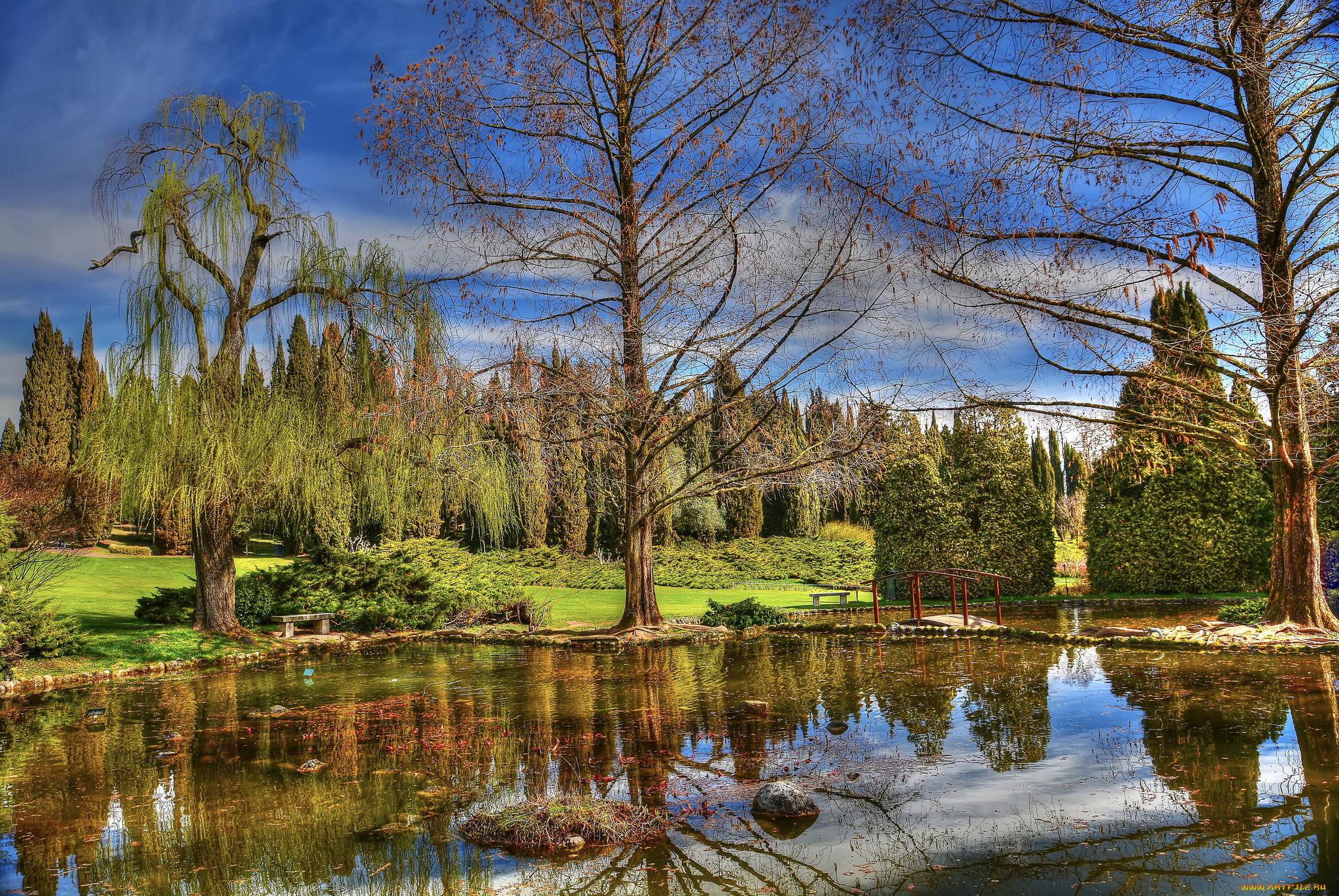 природа, реки, озера, лес, река