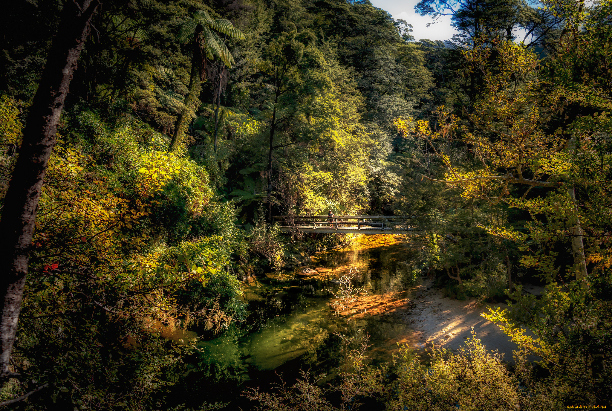 природа, реки, озера, лес, река