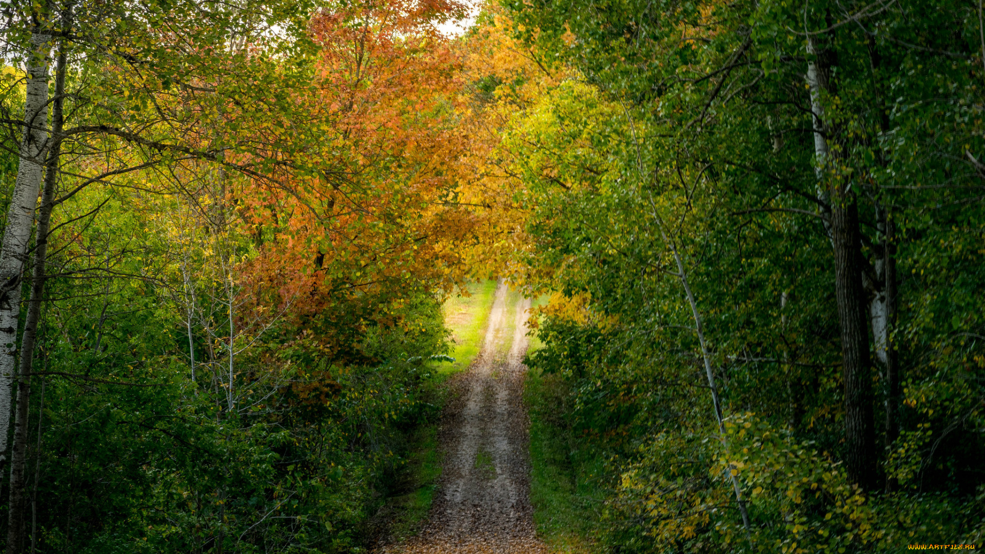 природа, дороги, простор