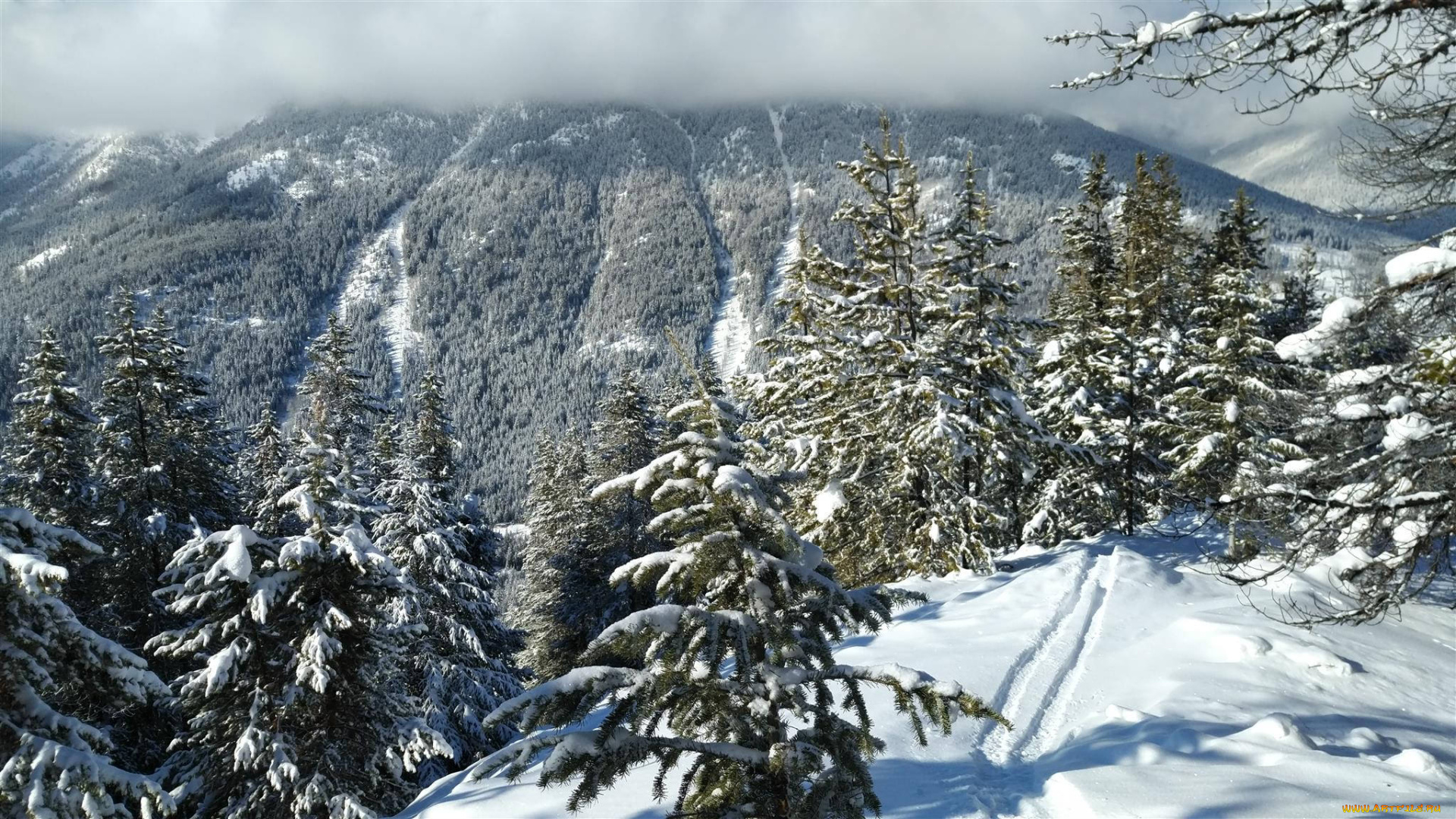 природа, горы, простор