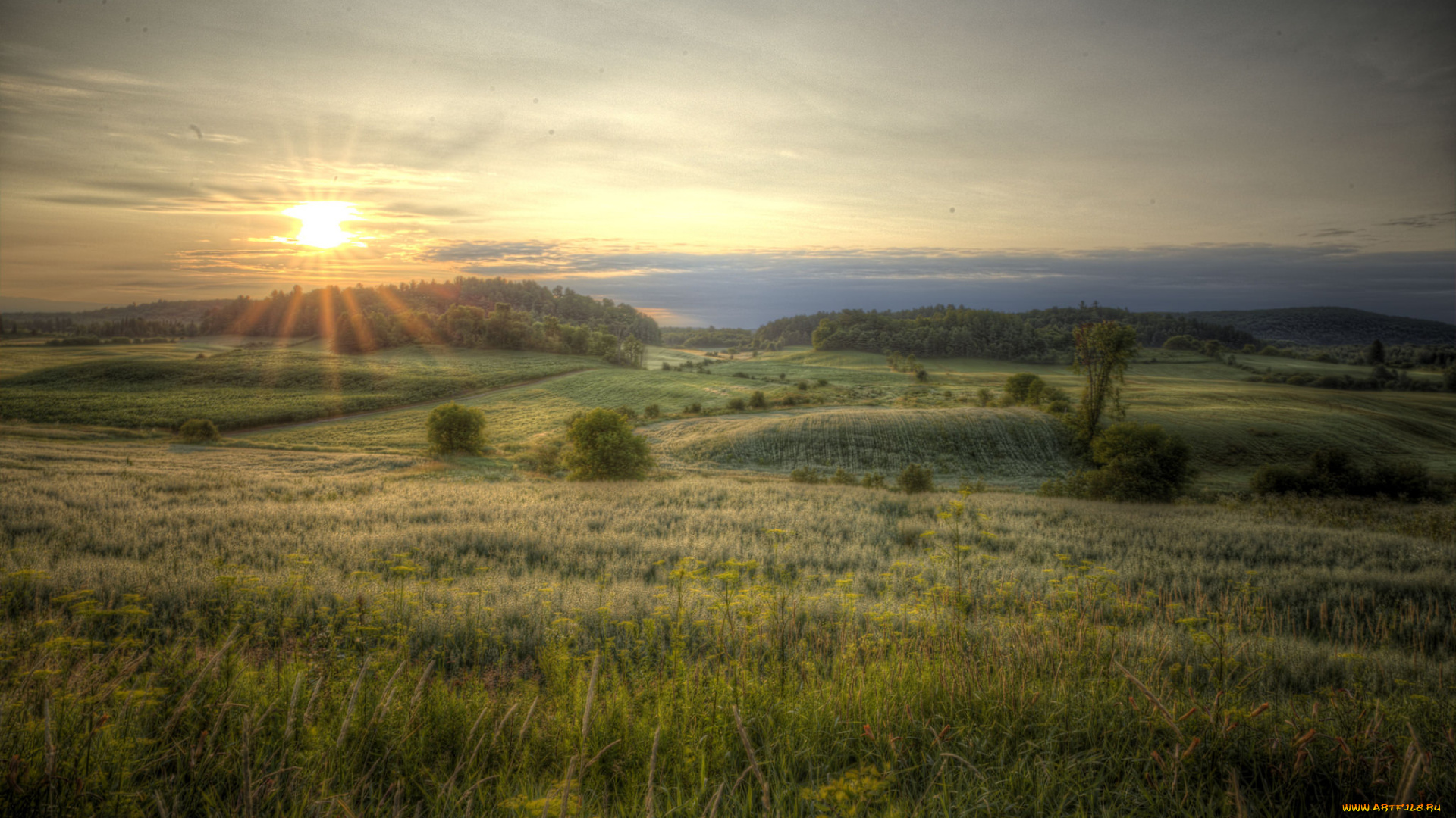 природа, пейзажи, простор