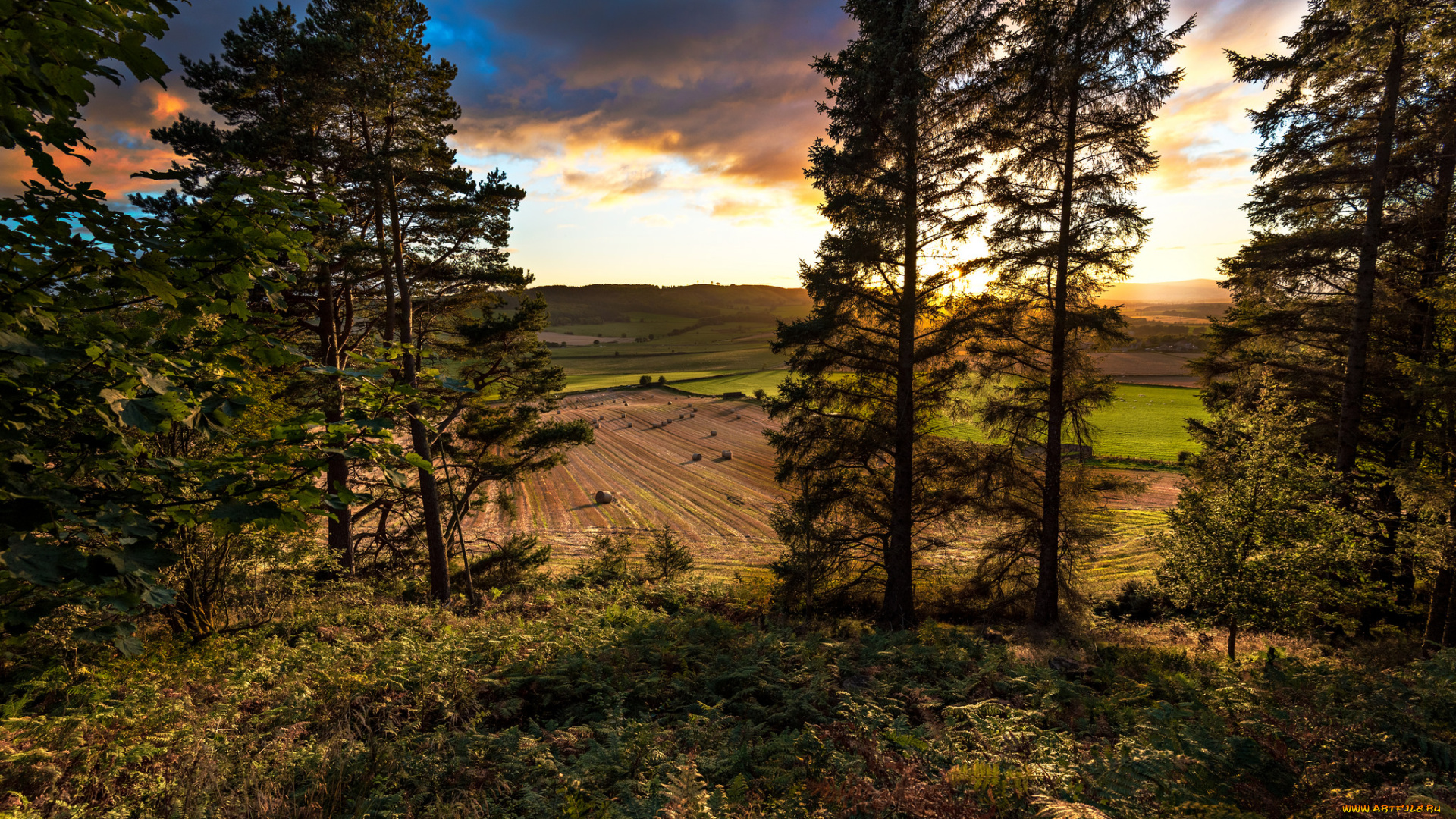 природа, пейзажи, простор