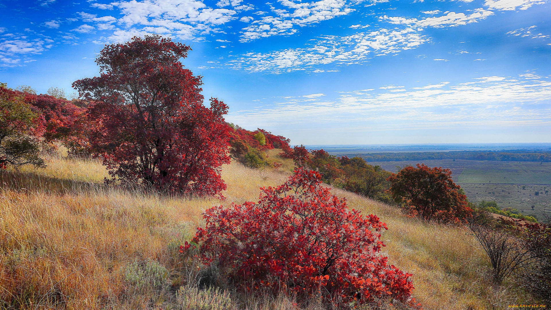 природа, пейзажи, простор