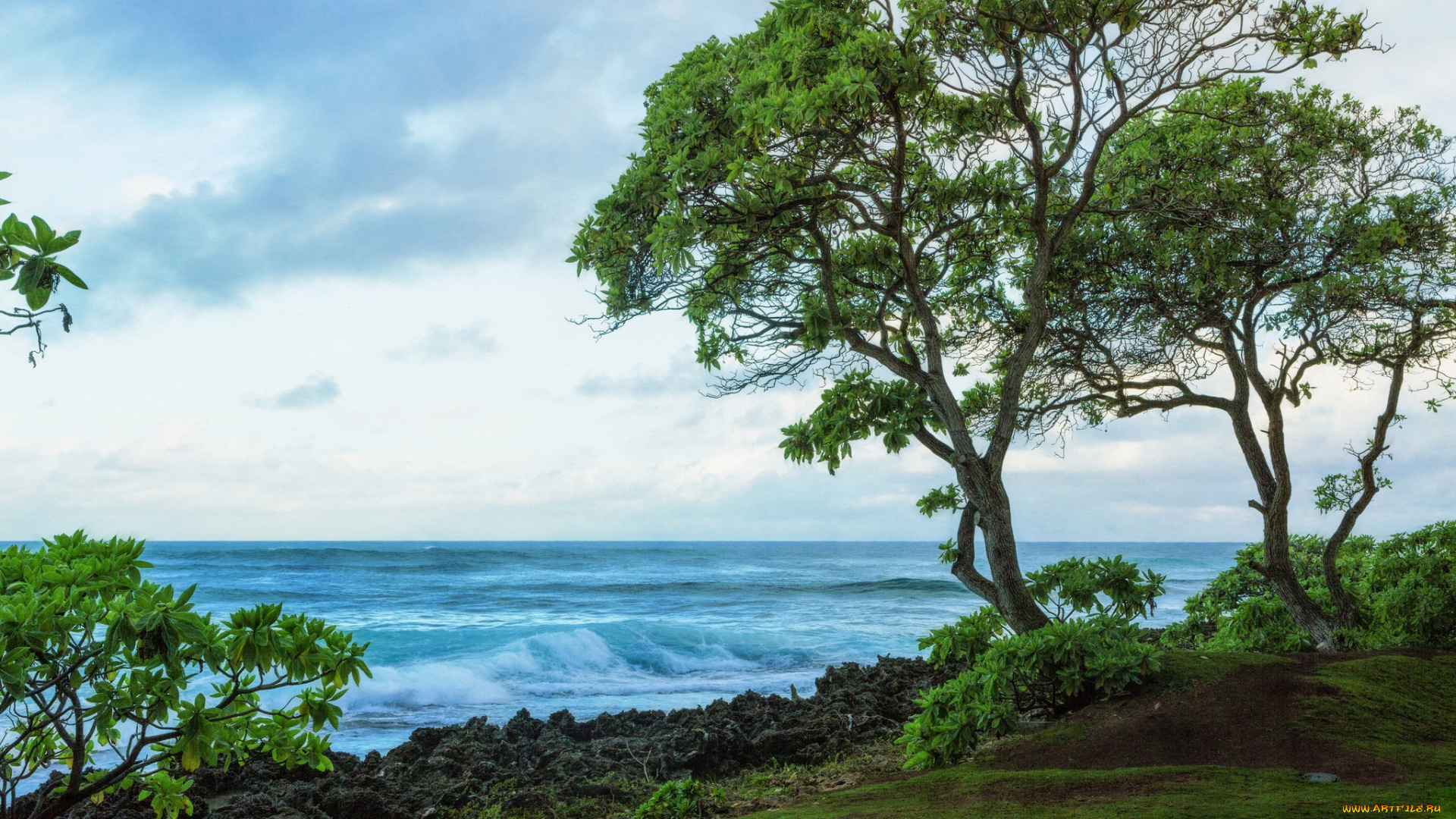 природа, побережье, простор