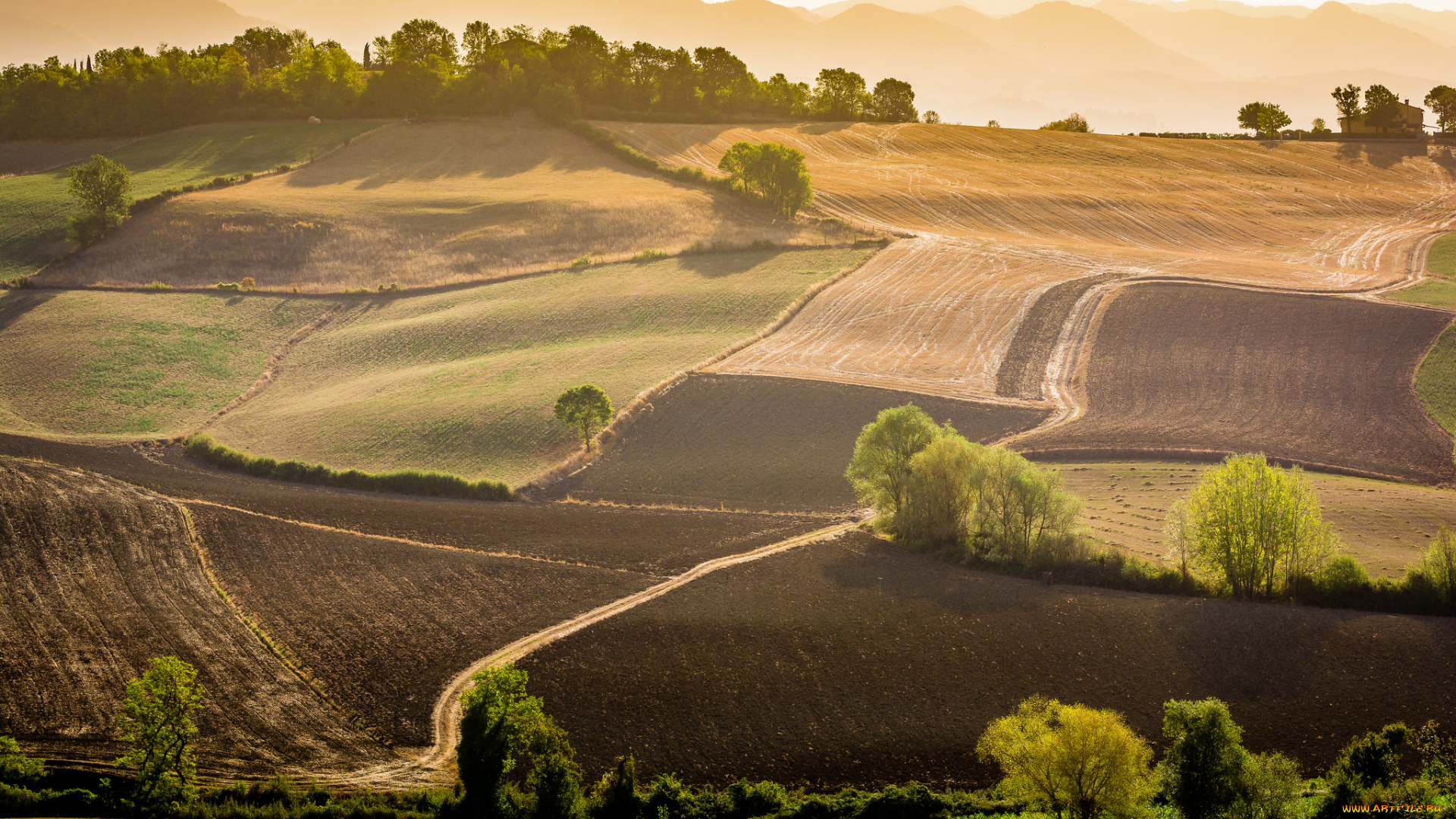 природа, поля, простор