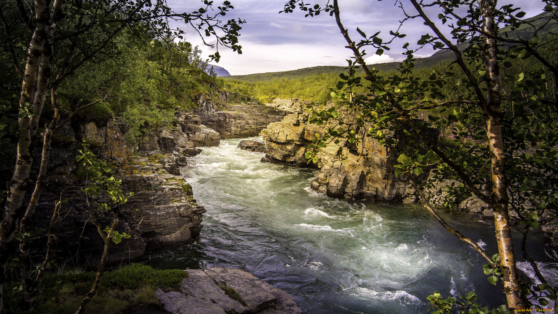 природа, реки, озера, простор