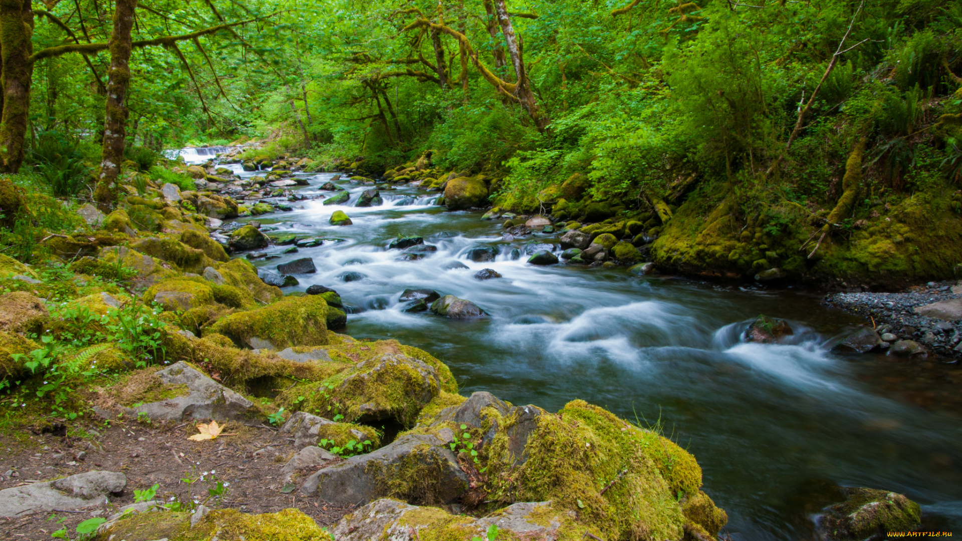 природа, реки, озера, простор