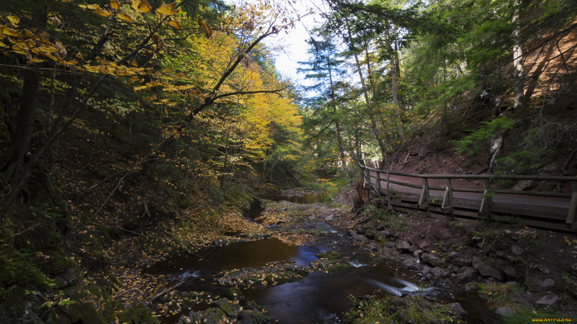 природа, реки, озера, простор