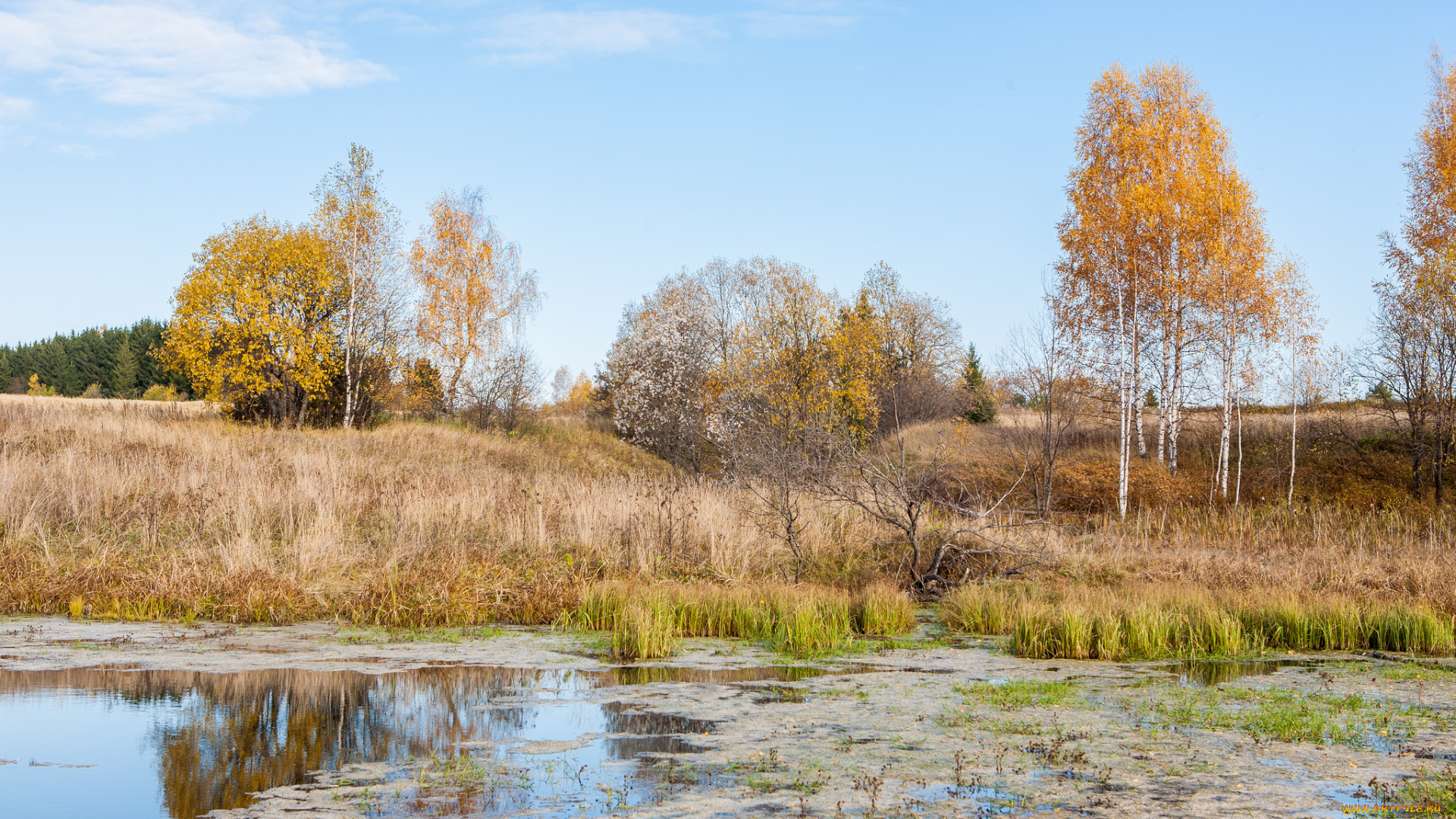 природа, реки, озера, простор