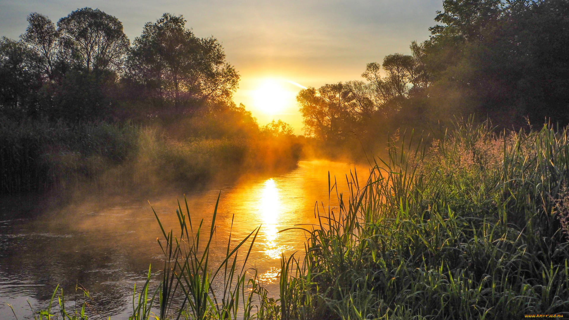 природа, реки, озера, простор