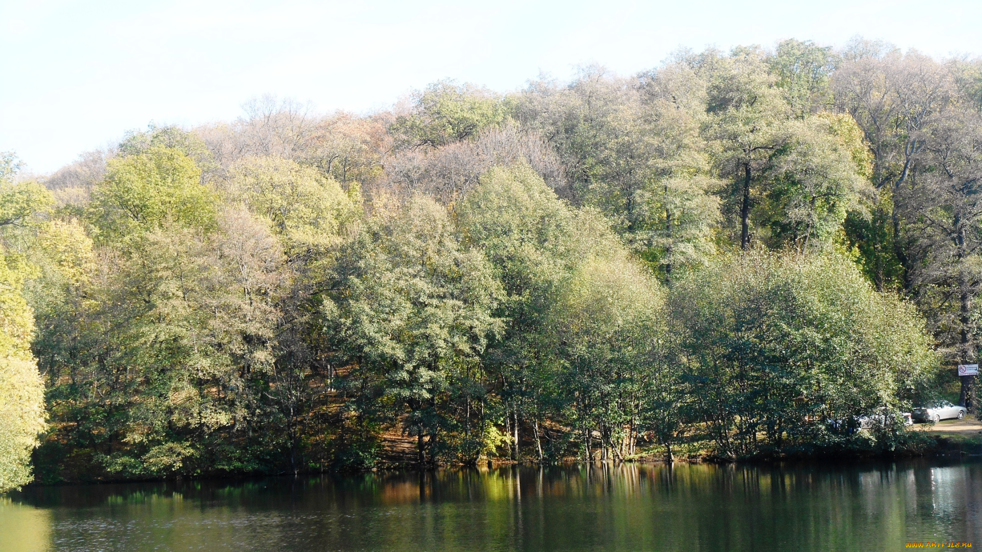 природа, реки, озера, водоем, лес