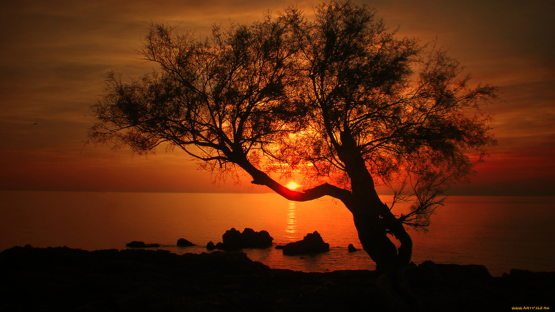 природа, восходы, закаты, простор