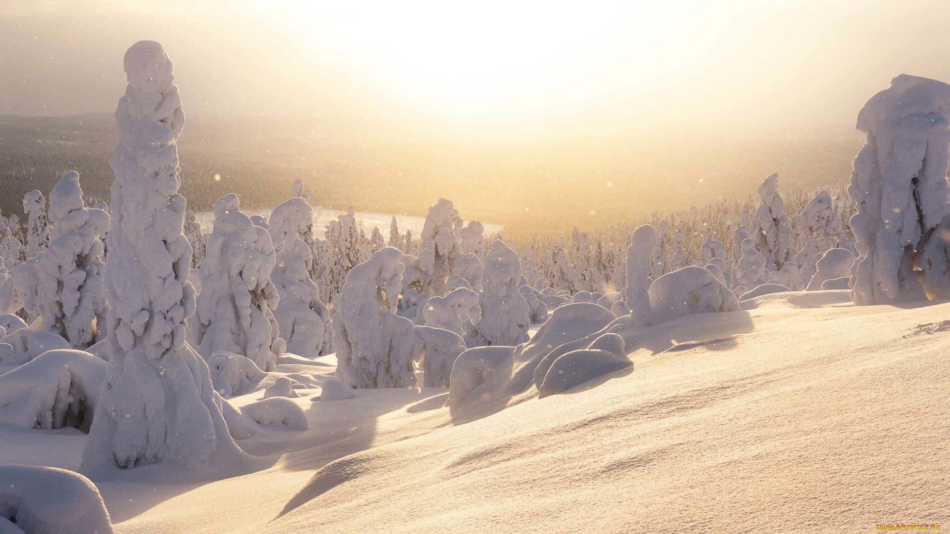 природа, зима, снег, деревья