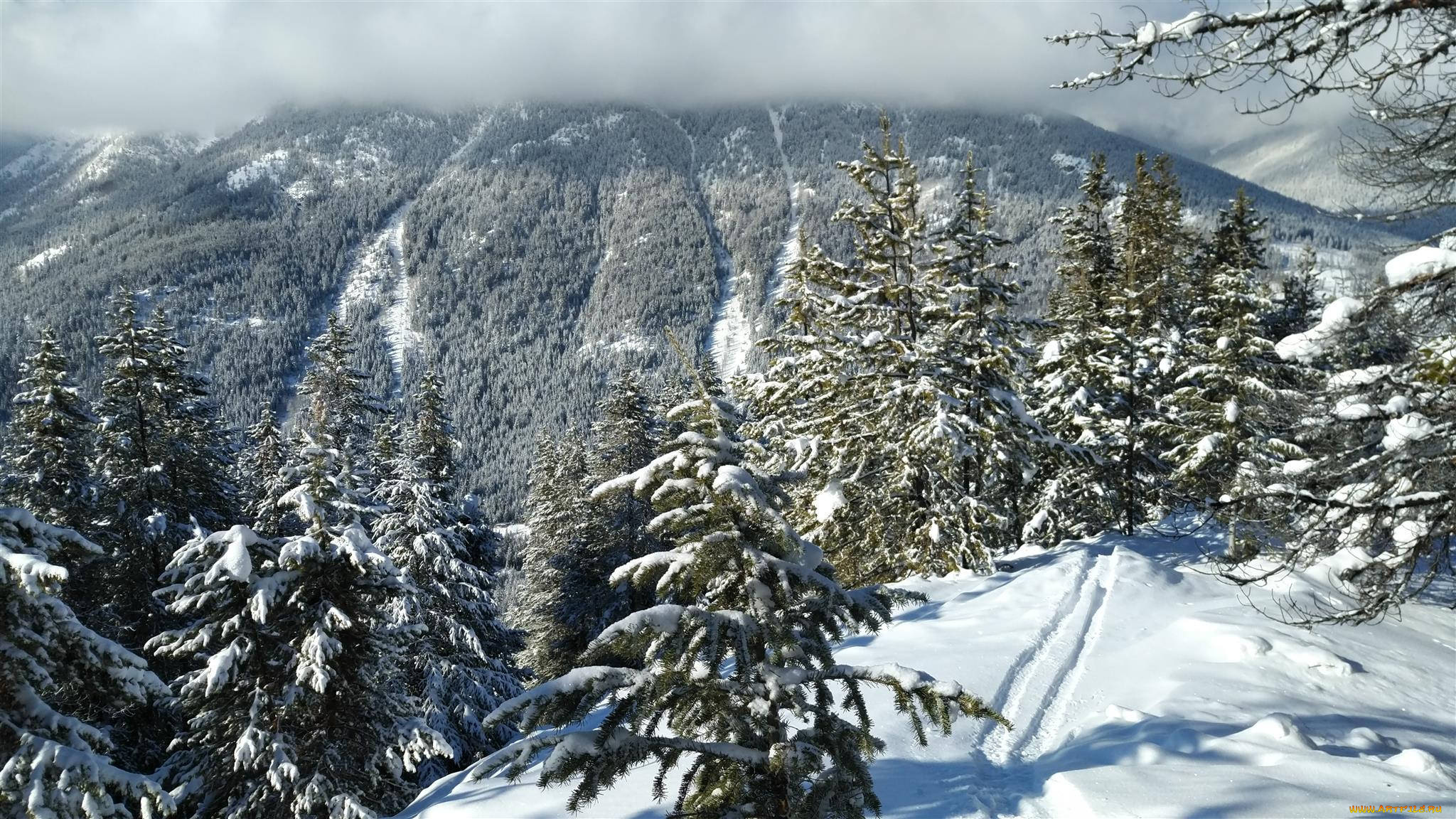 природа, горы, простор