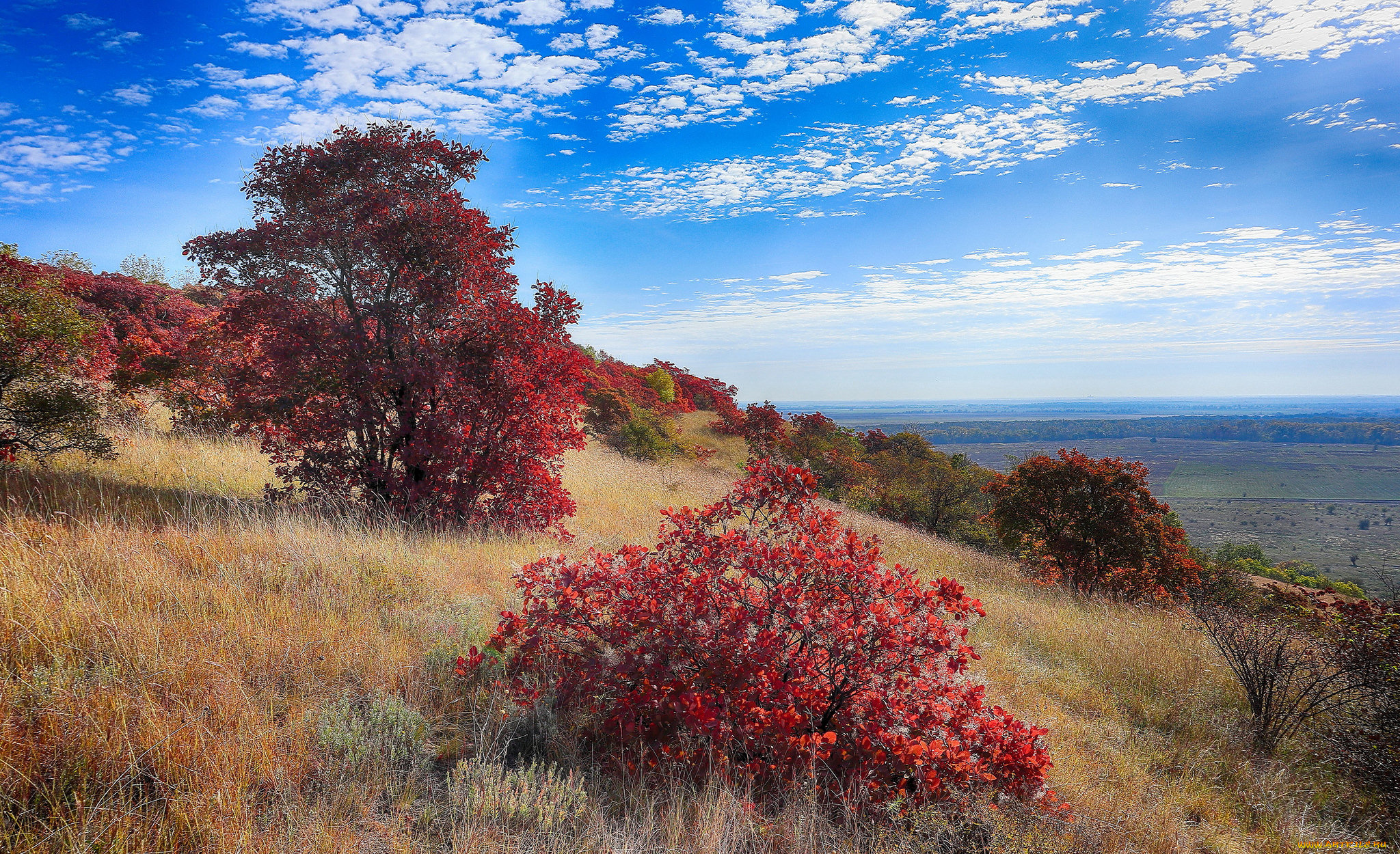 природа, пейзажи, простор