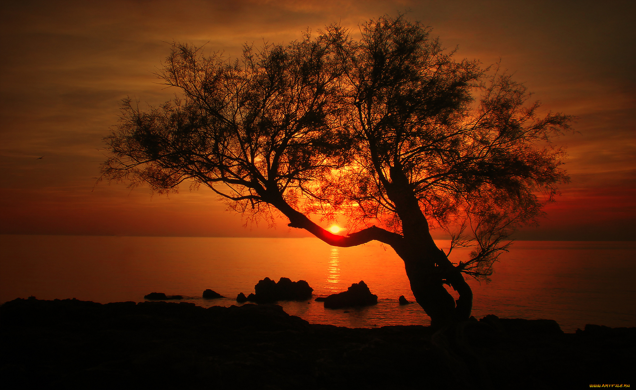 природа, восходы, закаты, простор