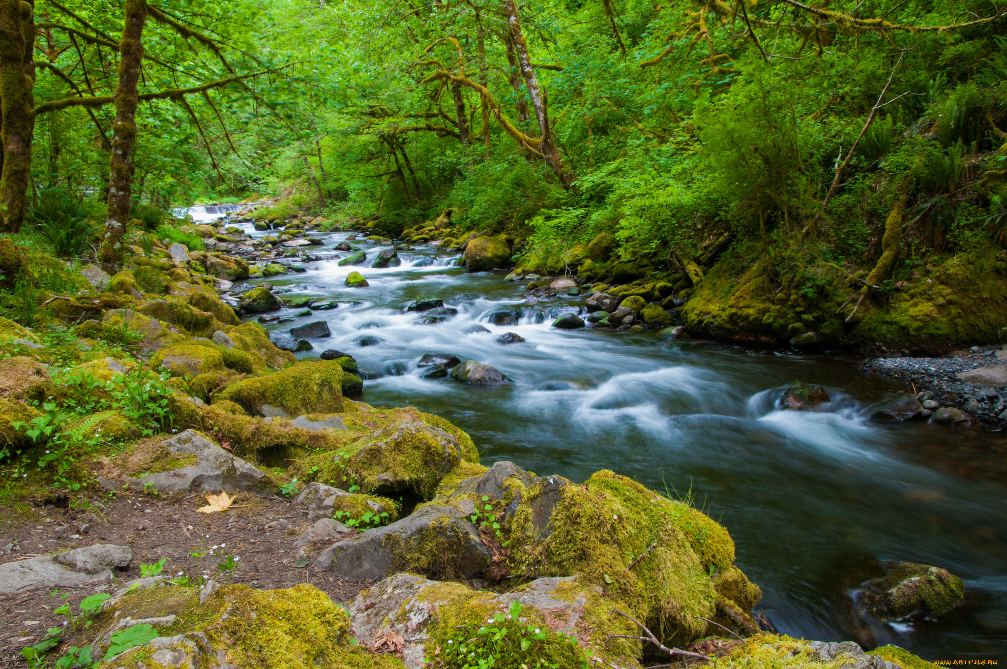 природа, реки, озера, простор