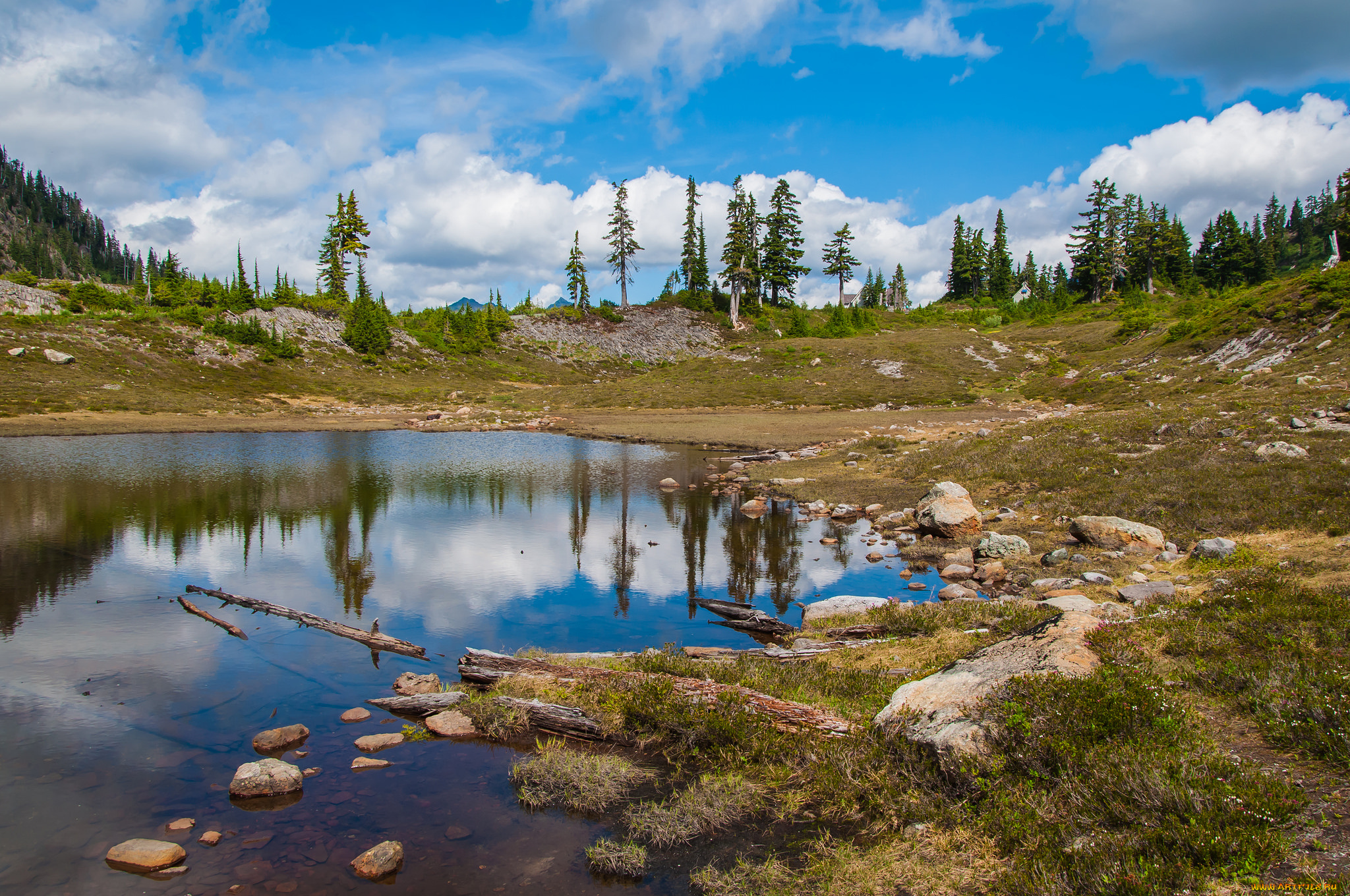 природа, реки, озера, простор