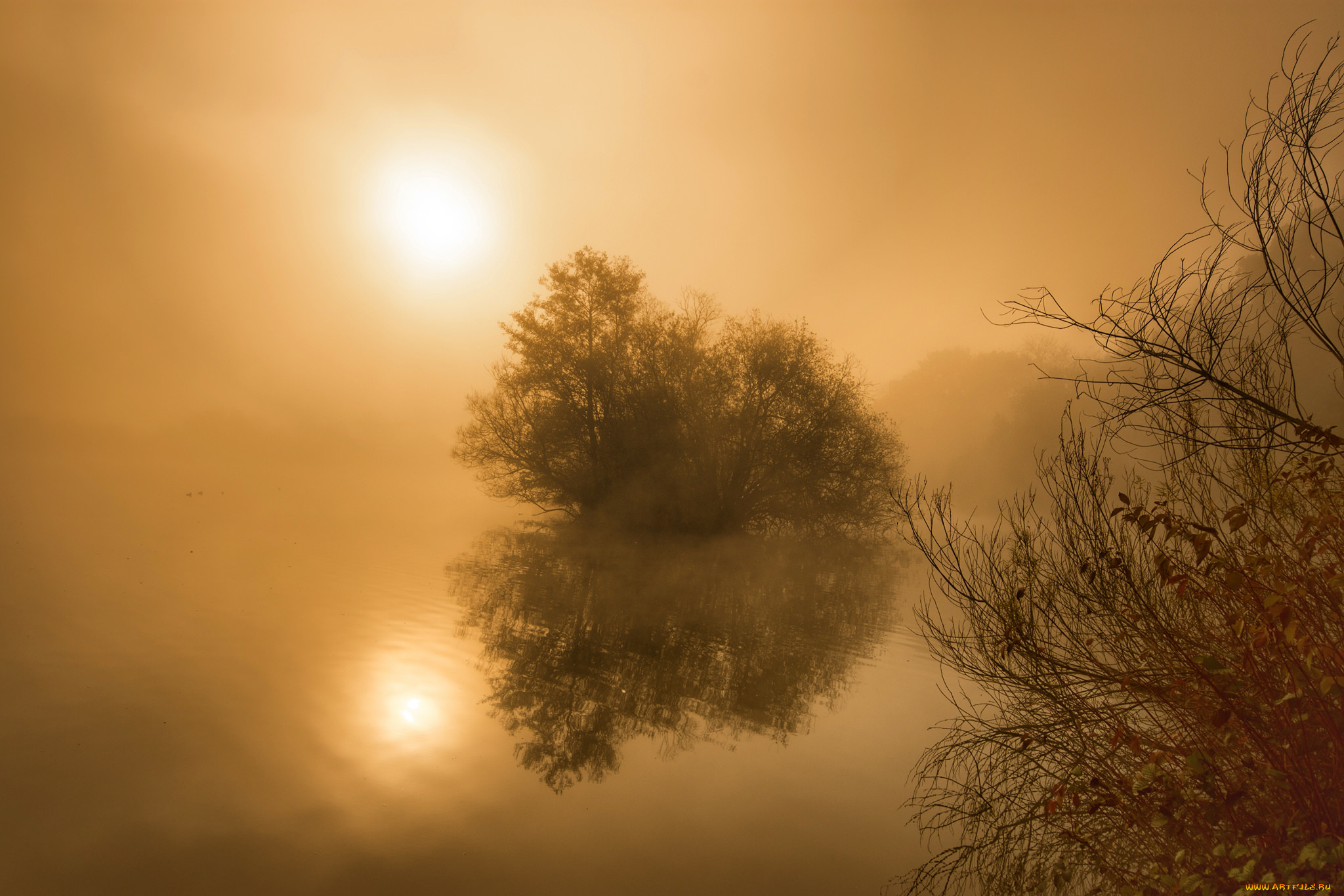 природа, реки, озера, простор