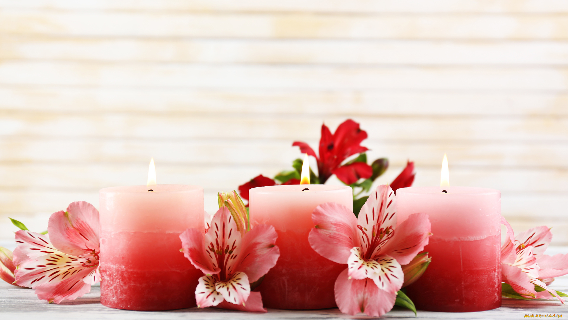 цветы, альстромерия, свечи, розовые, бутоны