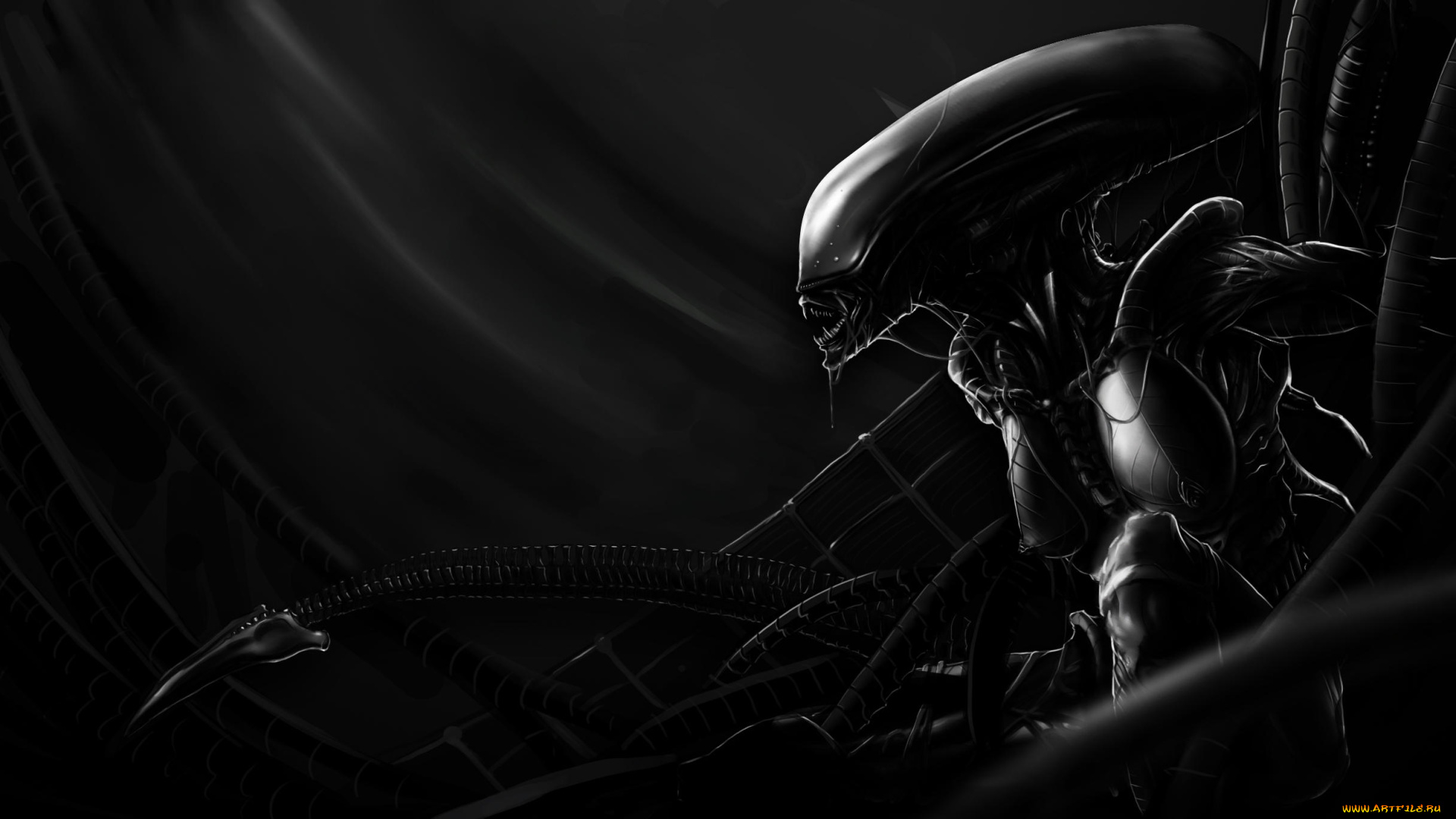 фэнтези, чужой, , alien, фон, девушка, существо