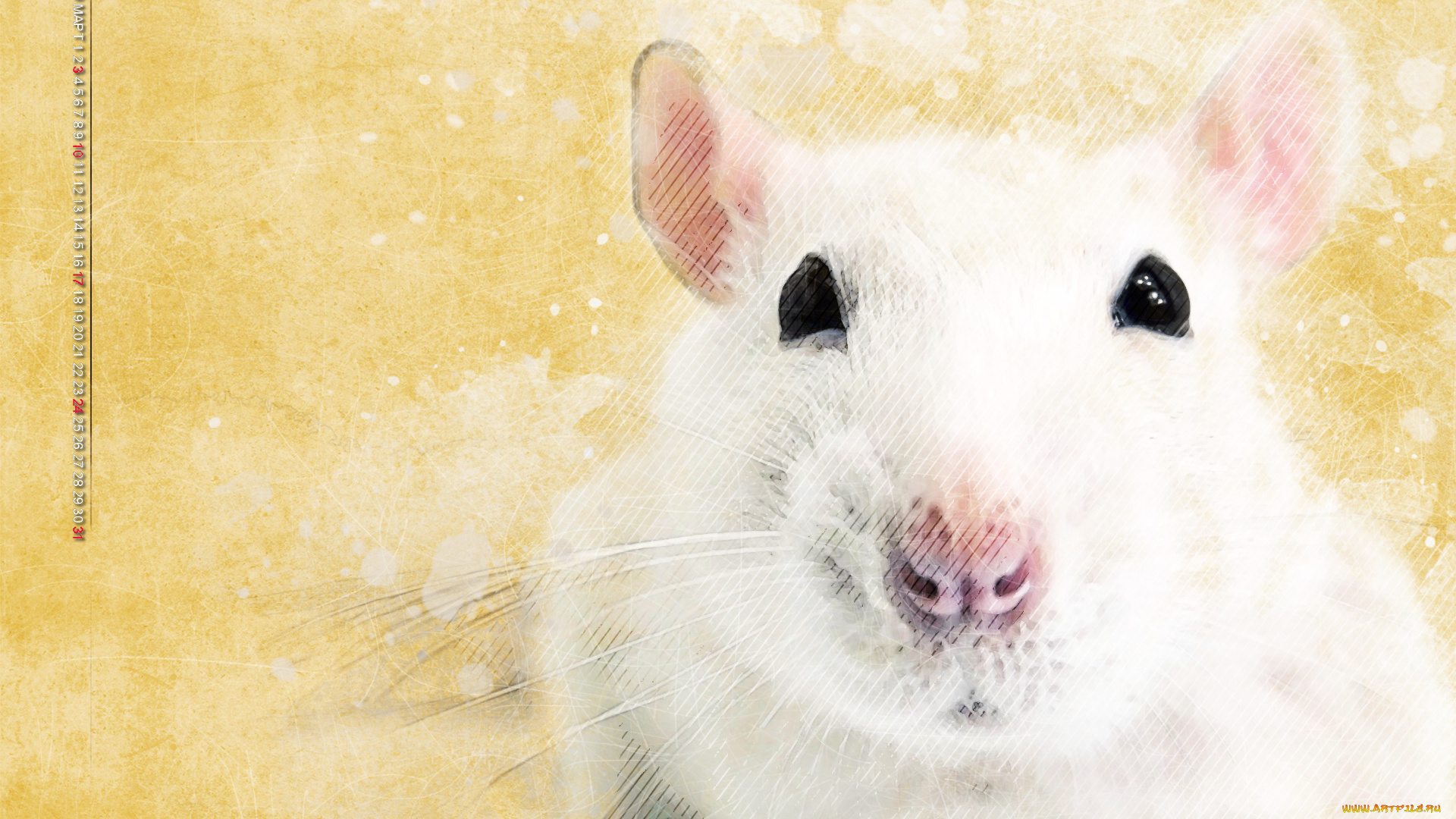 календари, компьютерный, дизайн, белый, мышь