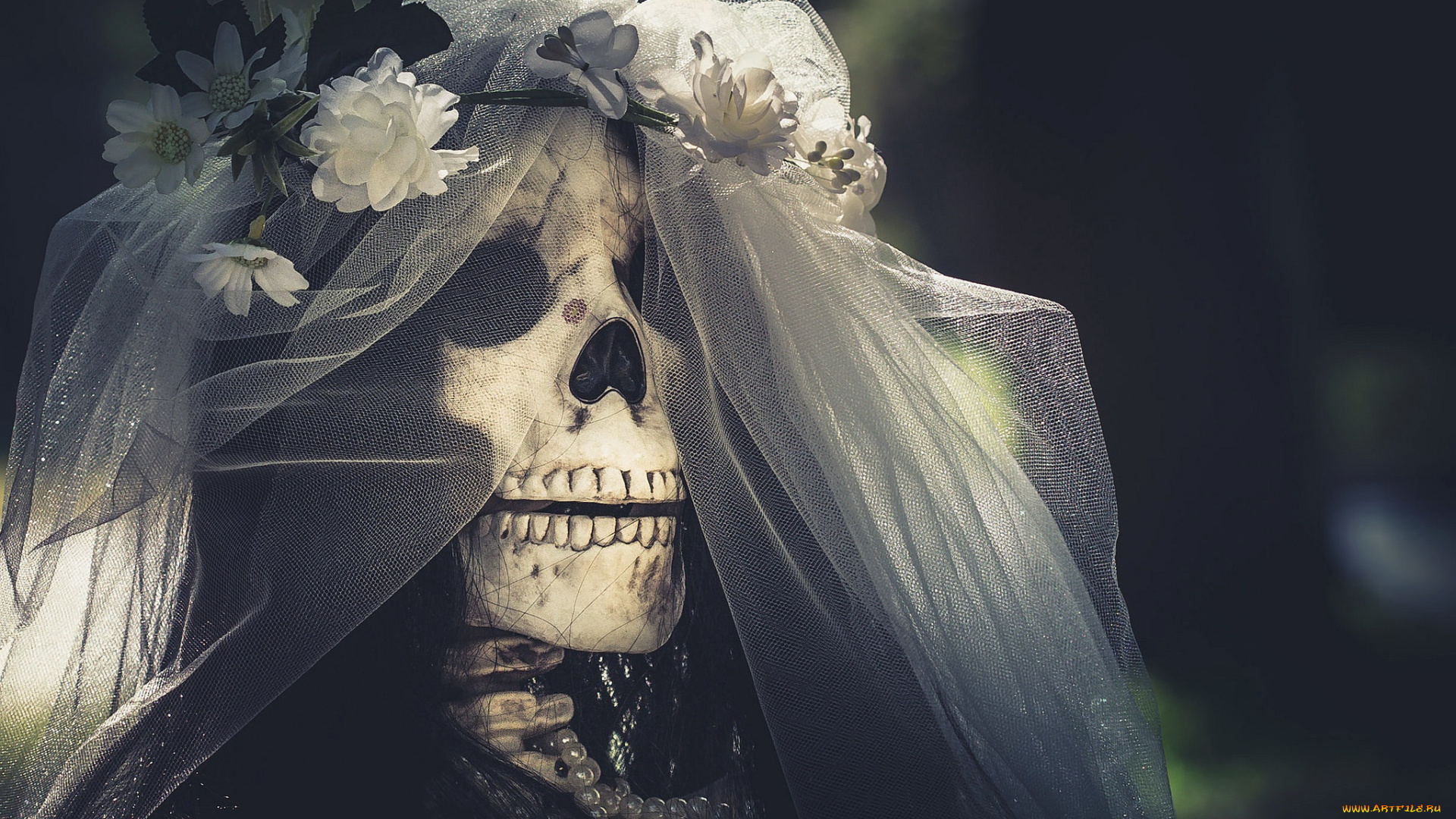 разное, кости, , рентген, невеста