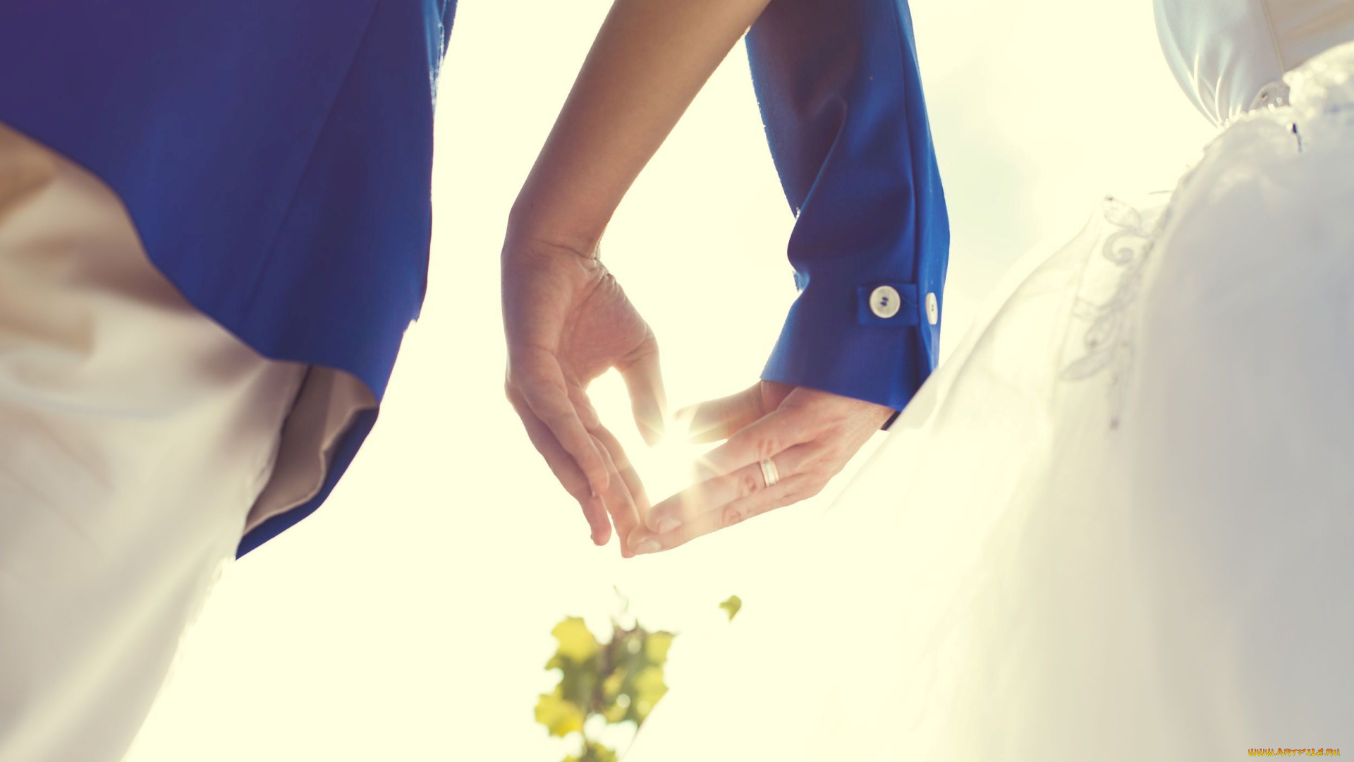 разное, руки, , ноги