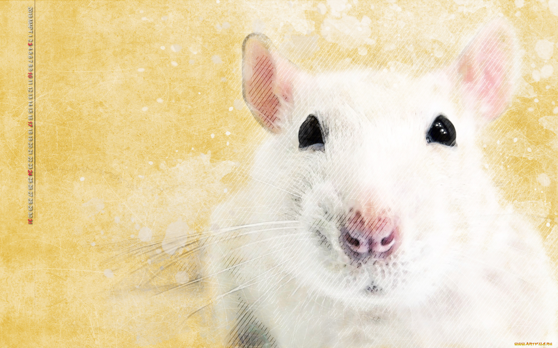 календари, компьютерный, дизайн, белый, мышь