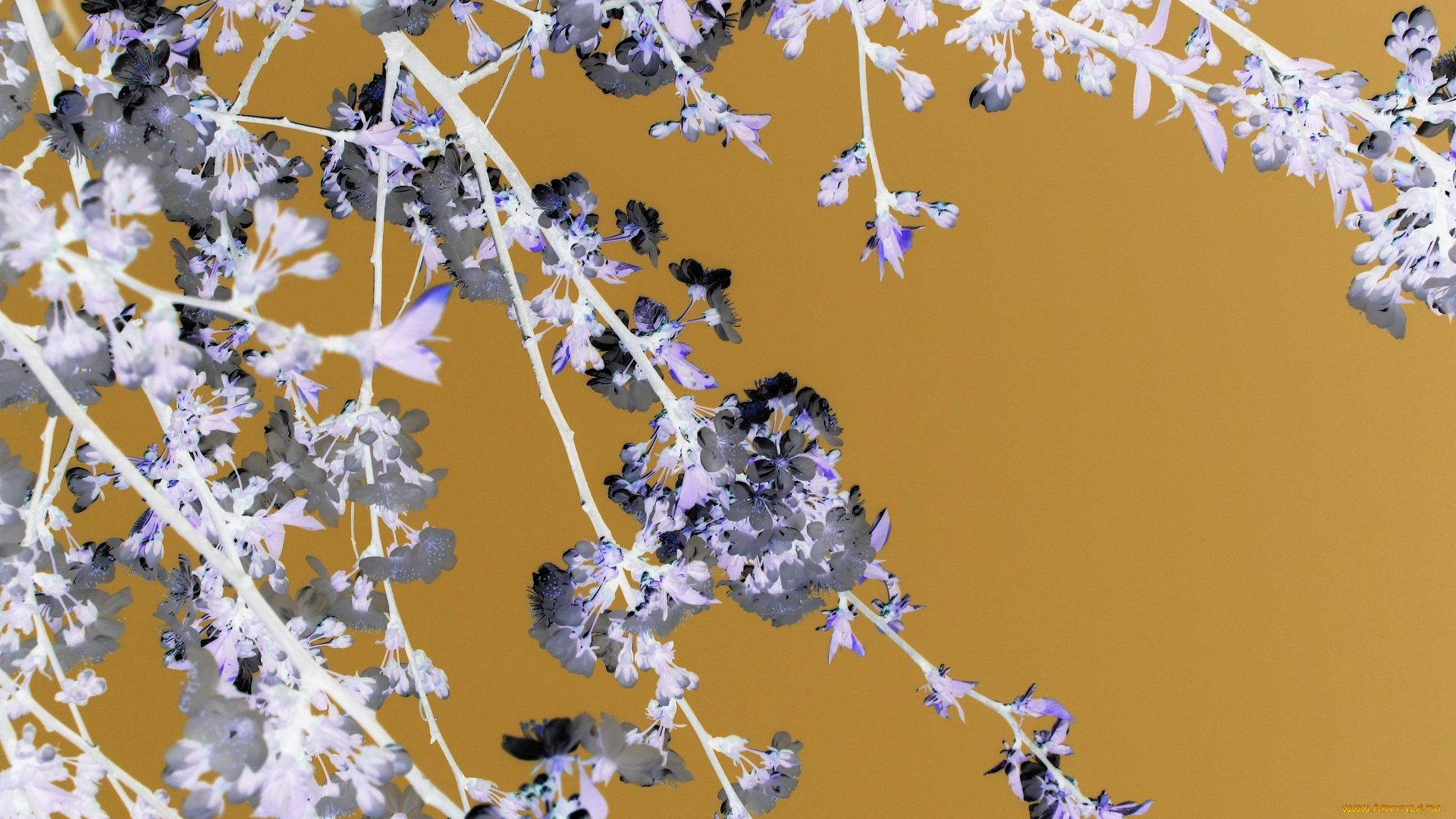 разное, компьютерный, дизайн, весна, 2018, апрель