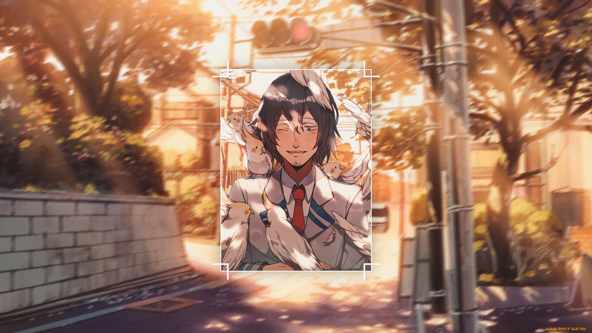 аниме, boku, no, hero, academia, моя, геройская, академия