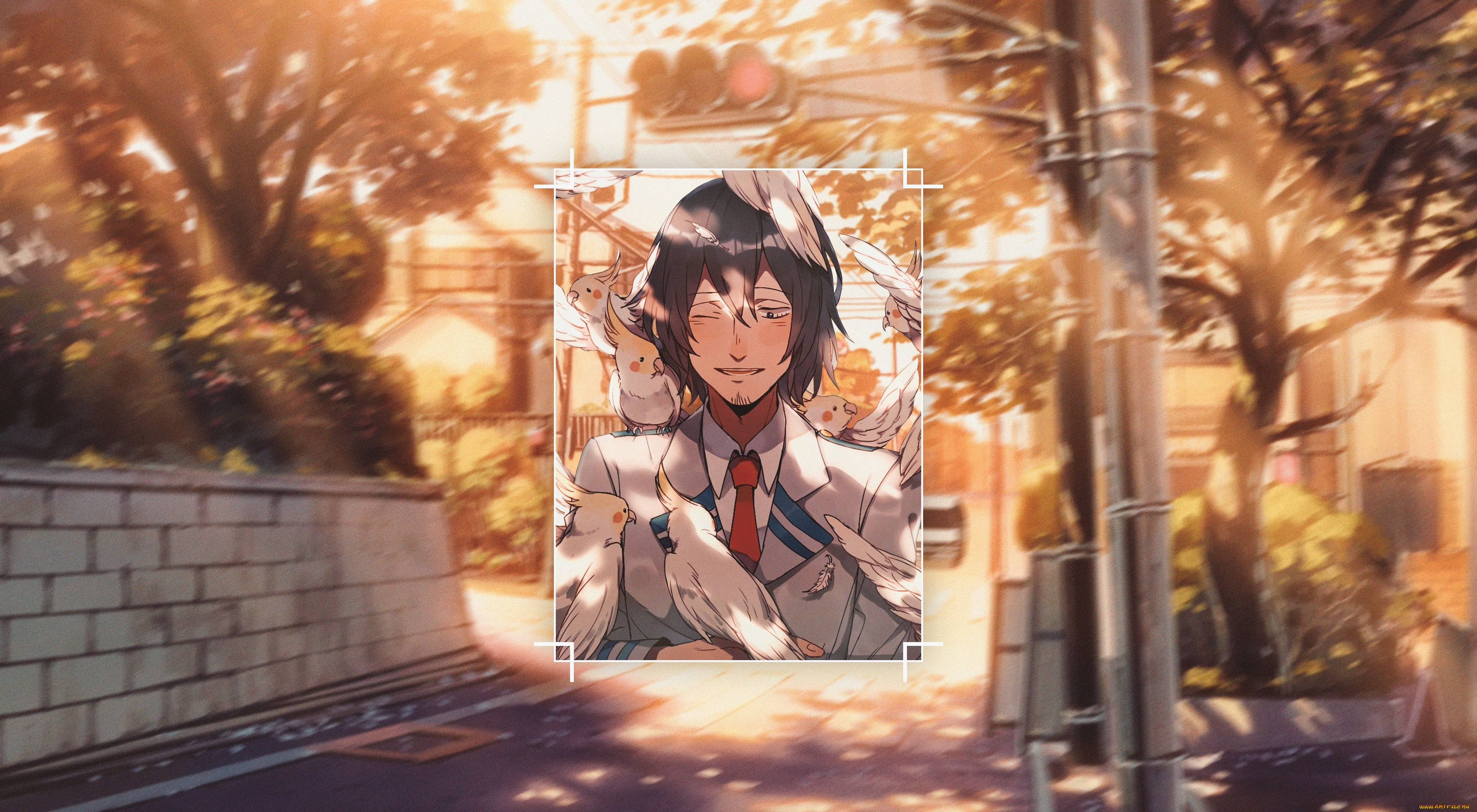 аниме, boku, no, hero, academia, моя, геройская, академия