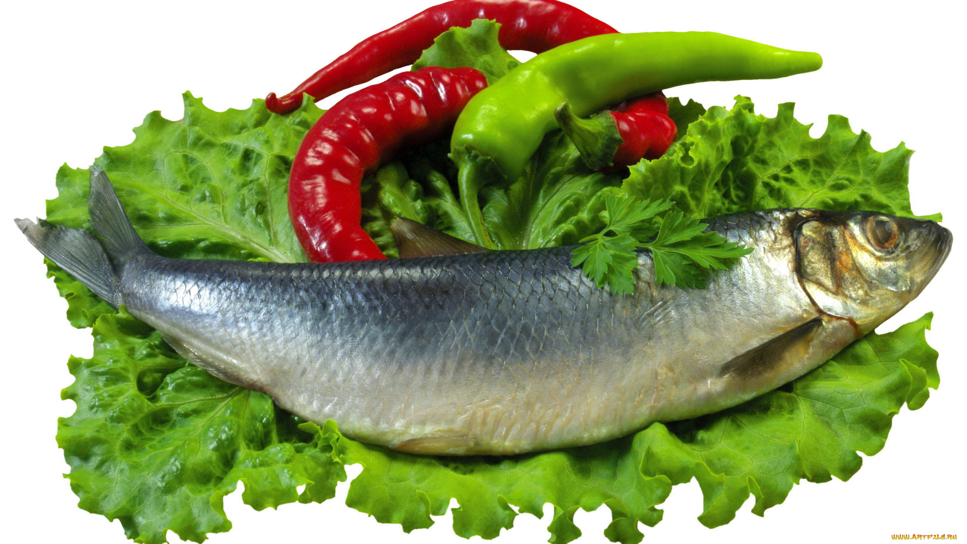 еда, рыбные, блюда, , с, морепродуктами, зеленый, салат, селедка, острый, перец, стручки