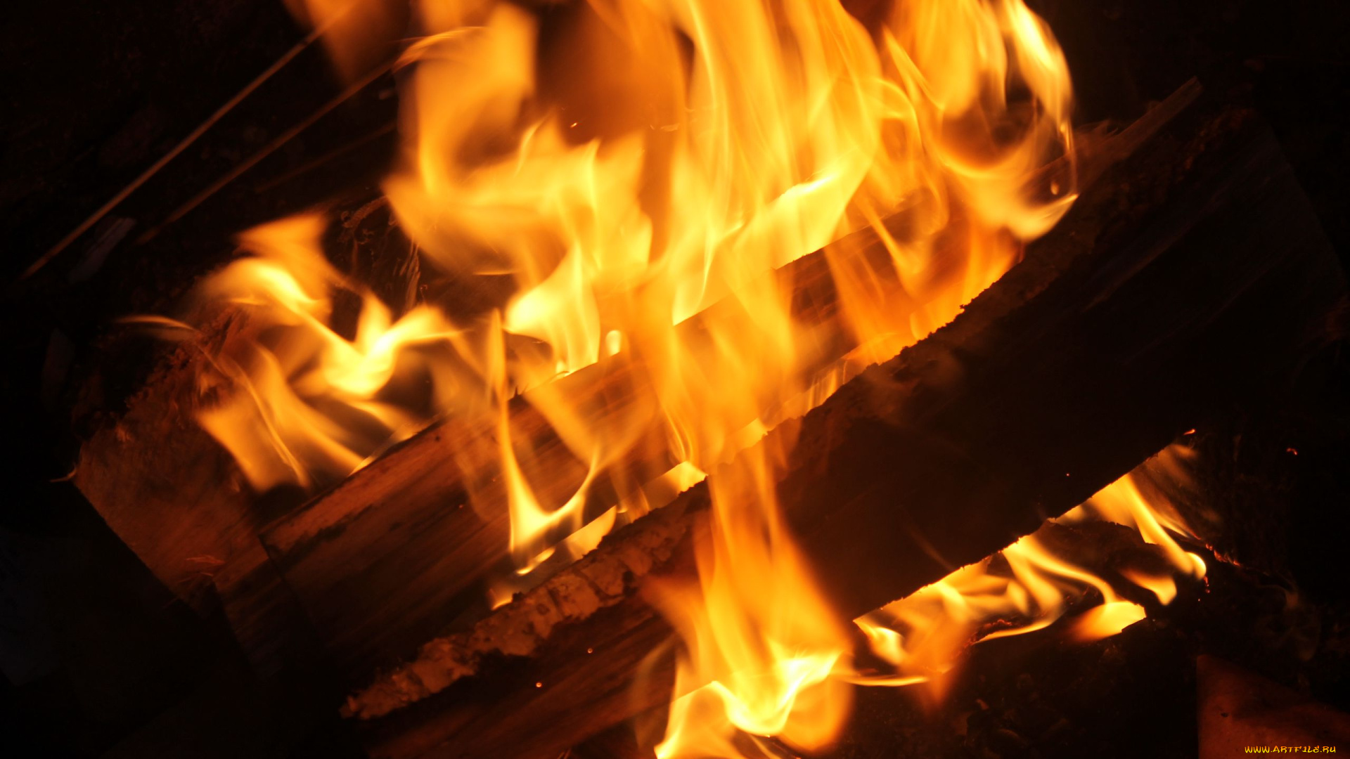 природа, огонь, пламя, поленья