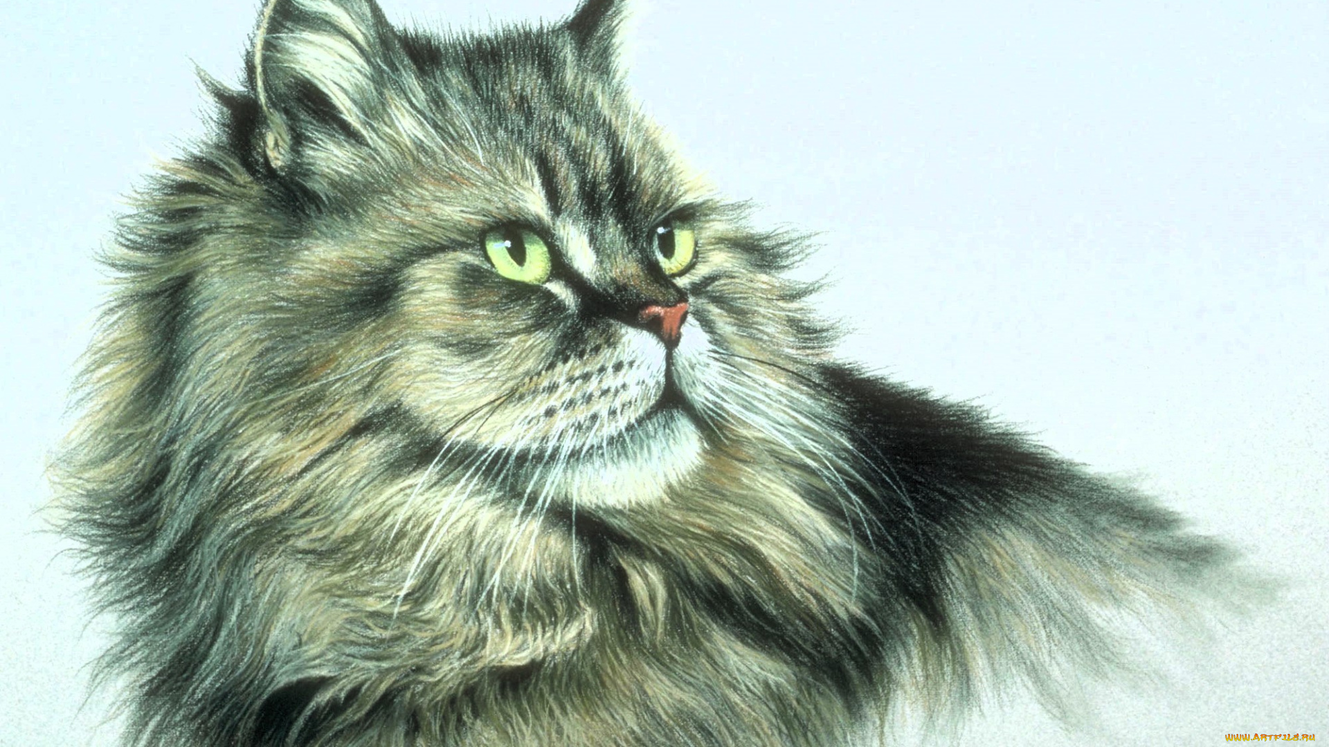 рисованное, животные, , коты, кот, голова