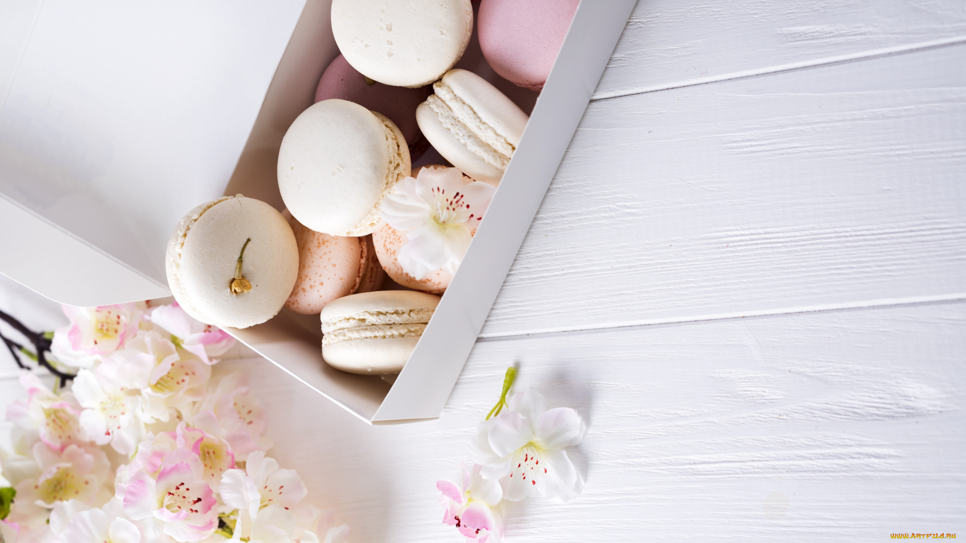 еда, макаруны, лакомство, ассорти