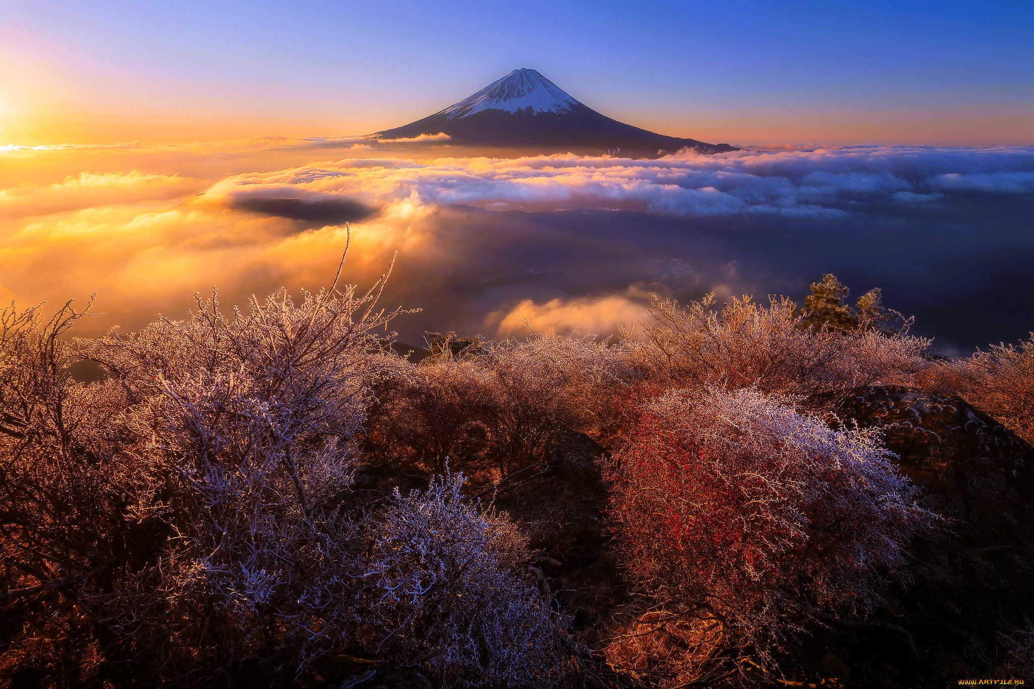 природа, горы, гора, облака, кусты