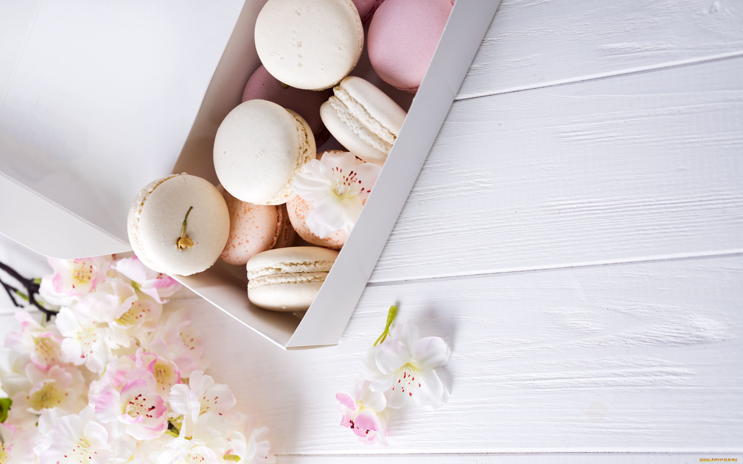 еда, макаруны, лакомство, ассорти