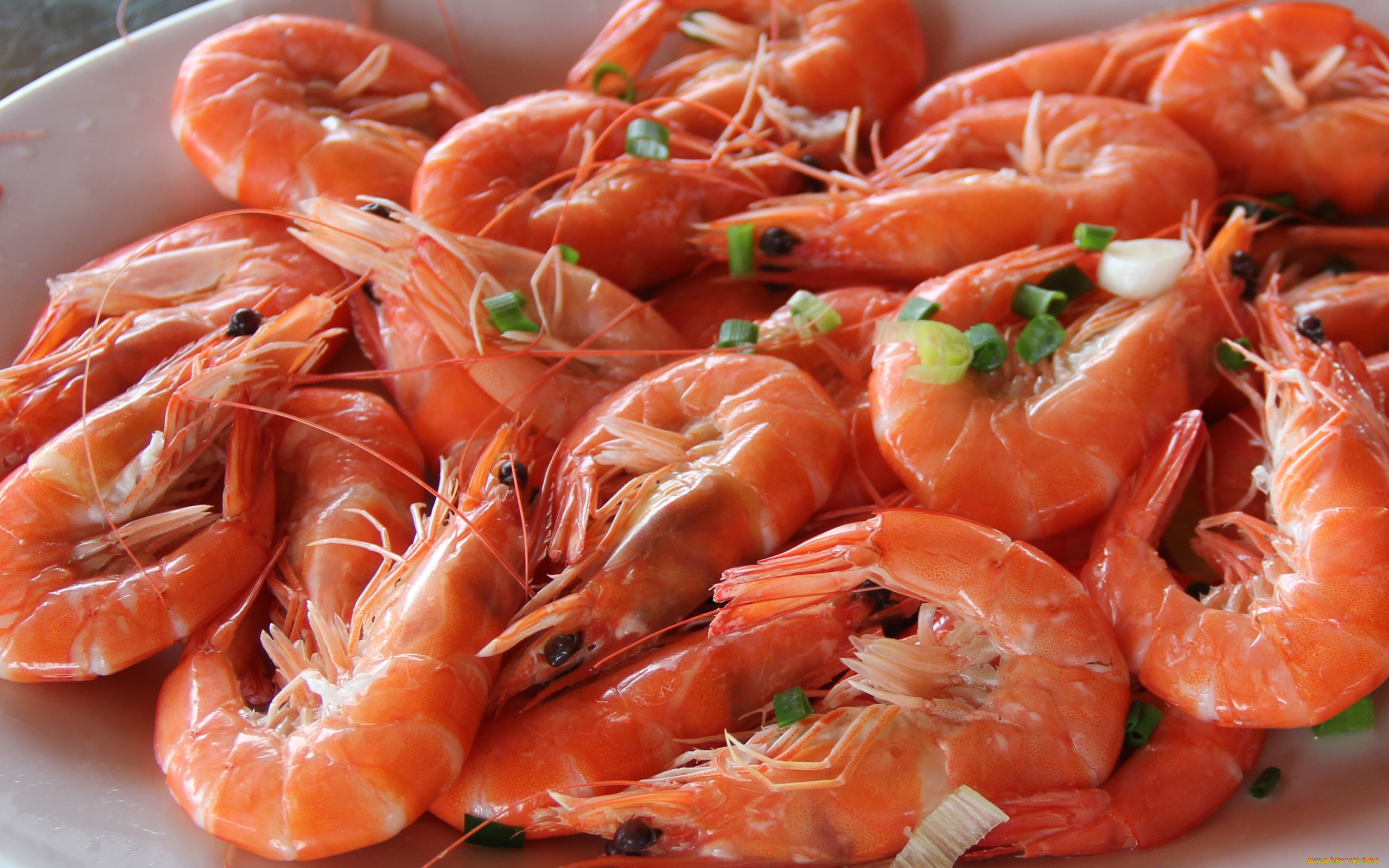 еда, рыбные, блюда, , с, морепродуктами, креветки, макро