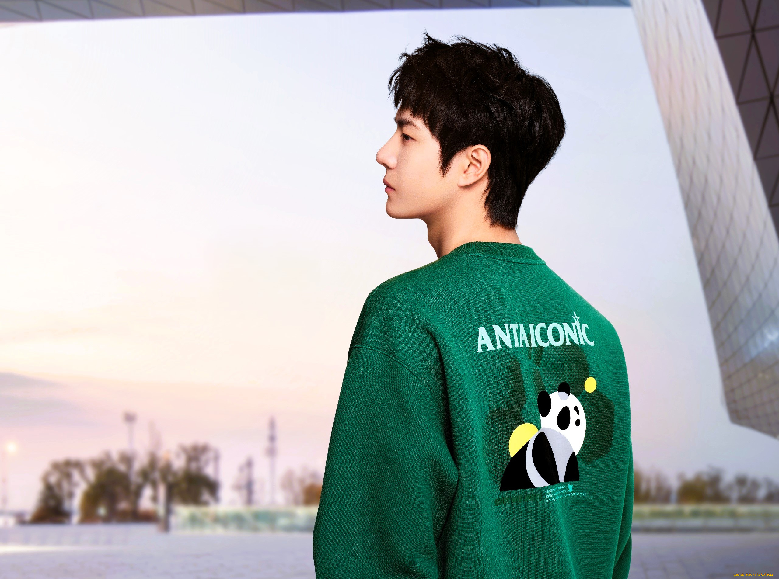 мужчины, wang, yi, bo, актер, толстовка, панда, здание